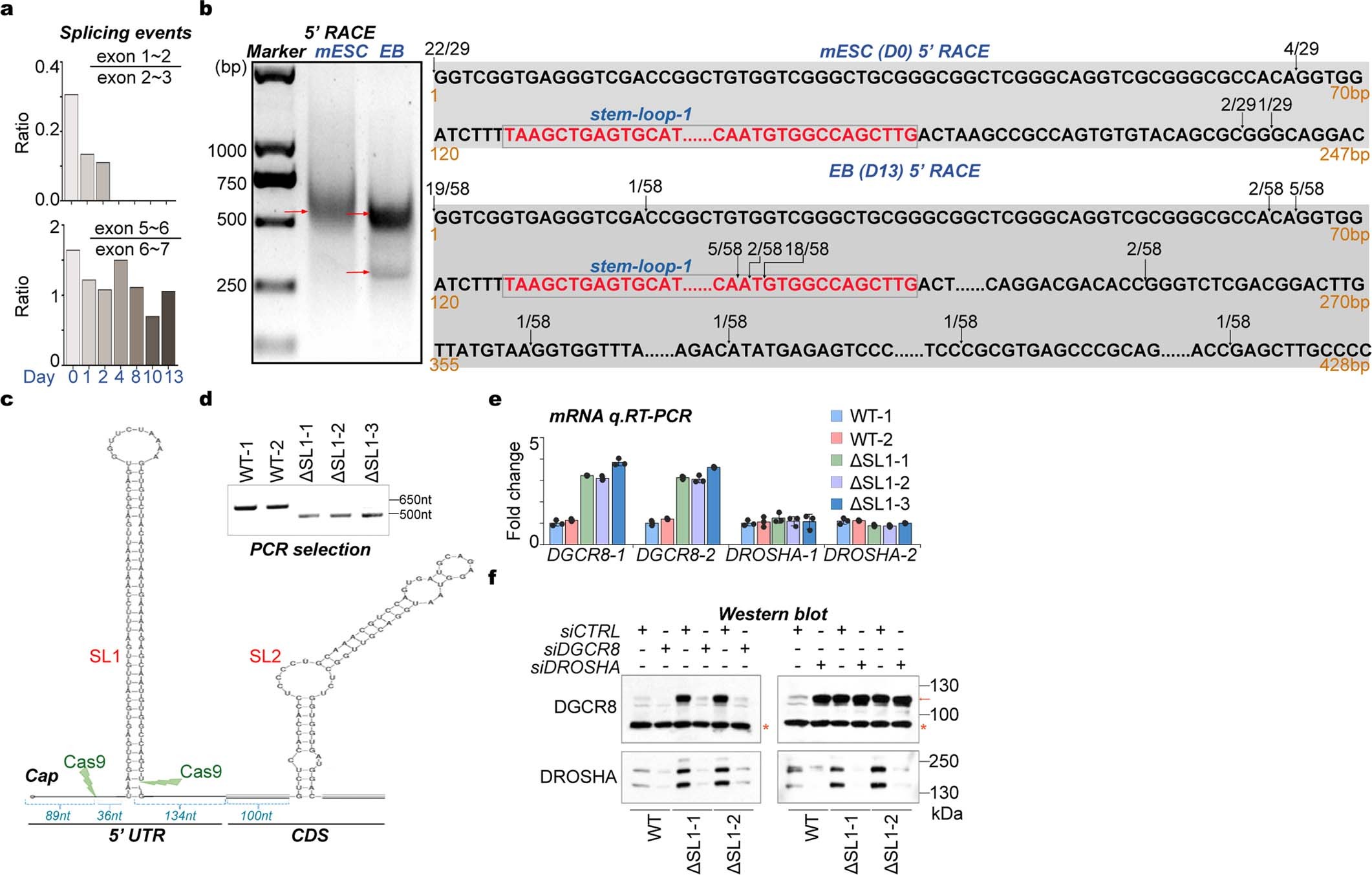 Extended Data Fig. 1