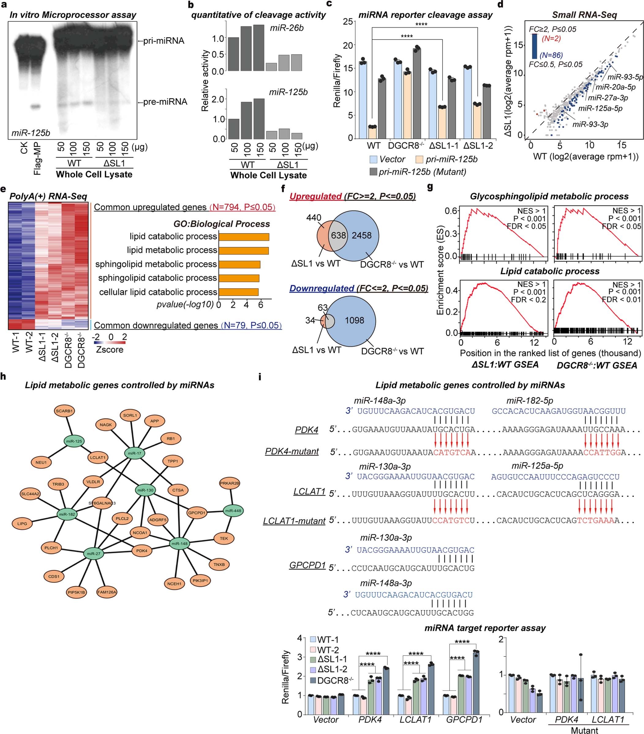 Extended Data Fig. 4
