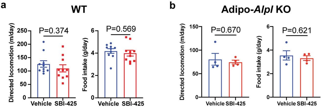 Extended Data Fig. 8: Movement and food intake of mice upon SBI-425 treatment.