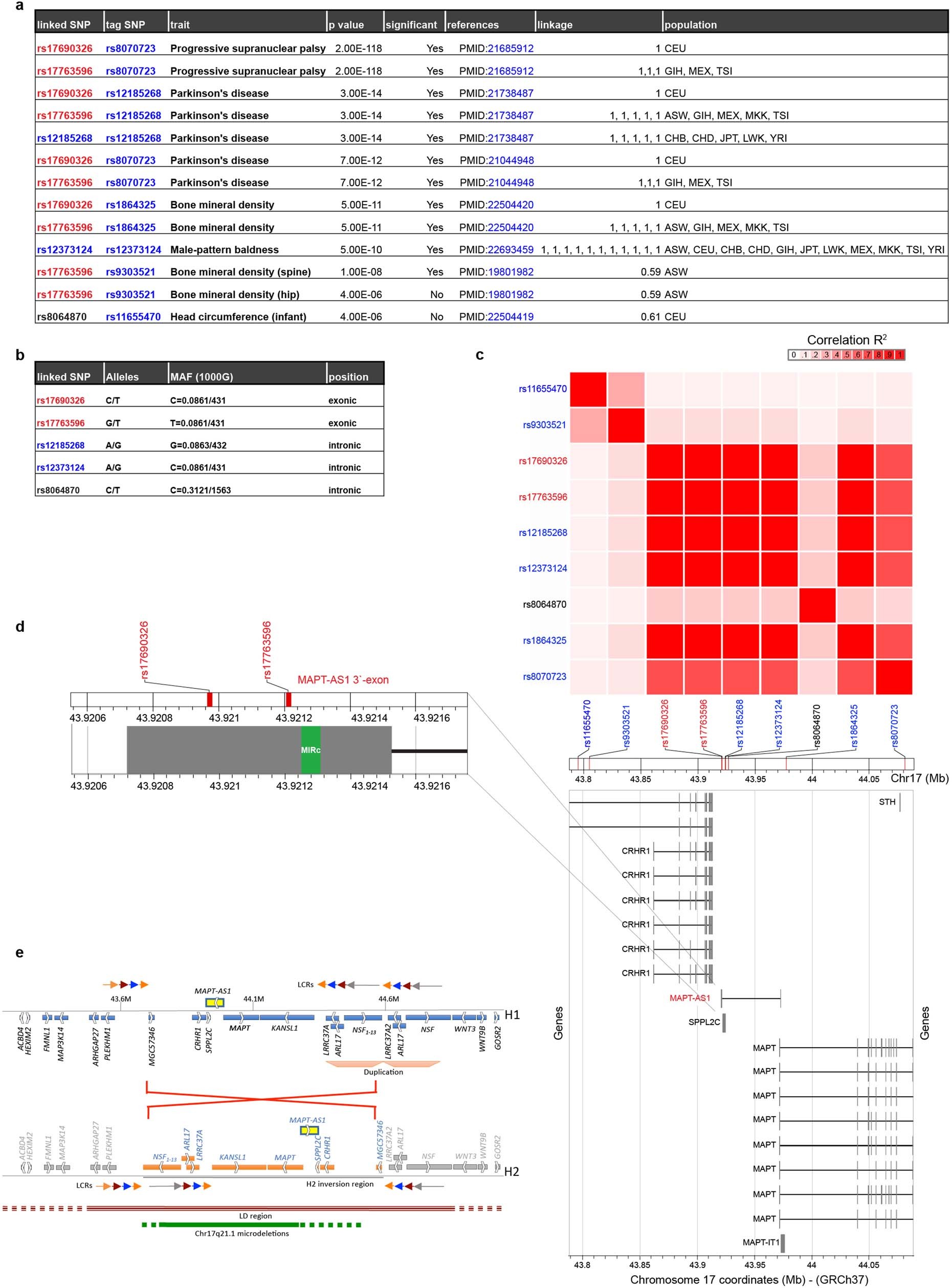 Extended Data Fig. 1: Linkage disequilibrium analysis of MAPT-AS1 region.