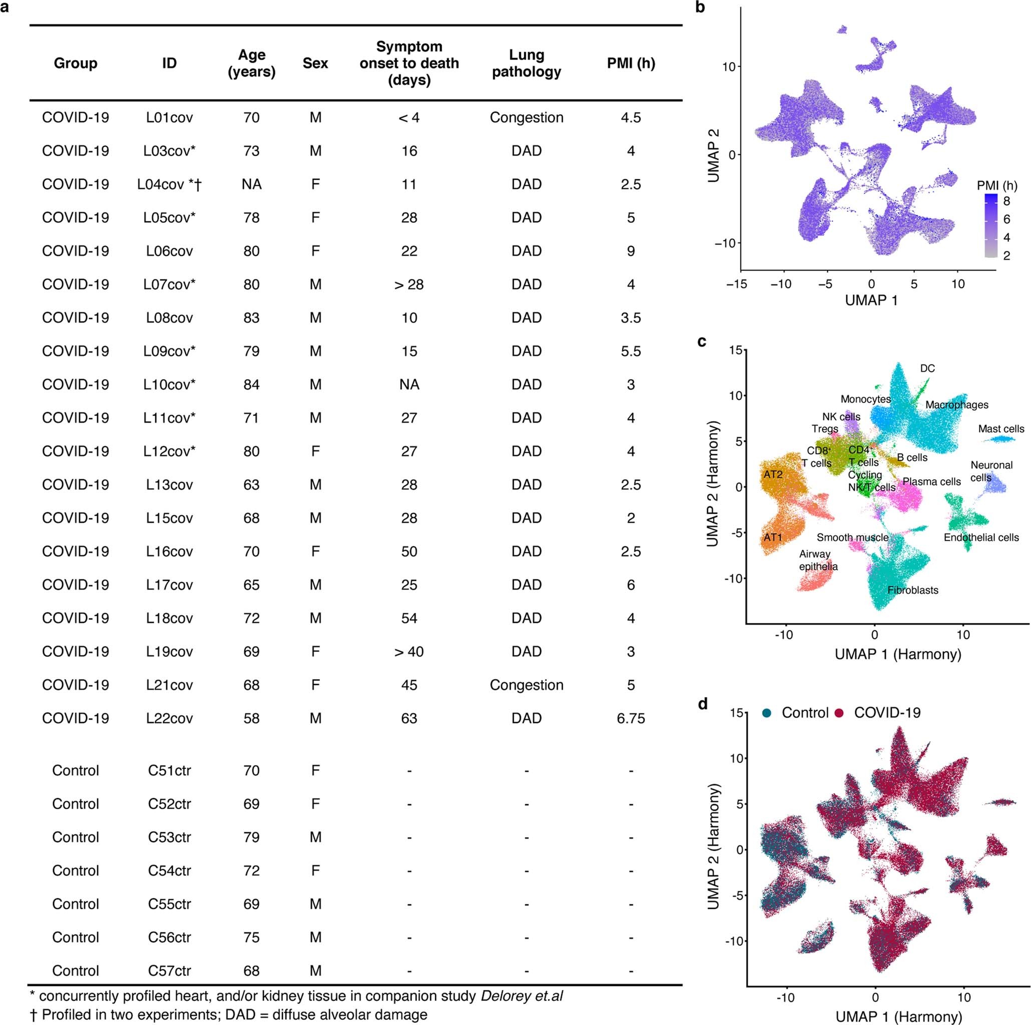 Extended Data Fig. 1: Patient information and alternative batch correction.