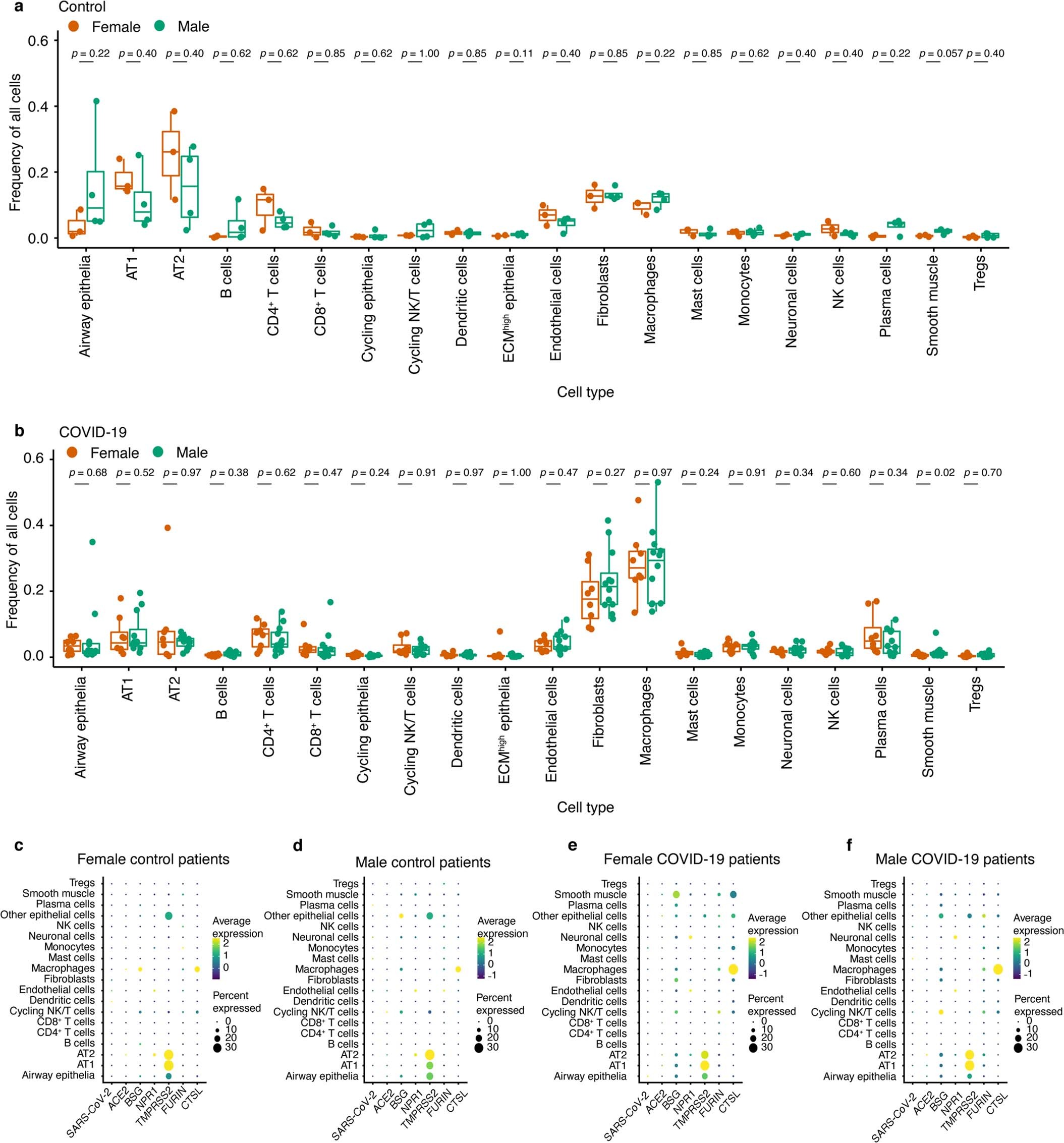 Extended Data Fig. 3: Effect of sex on cellular composition and host receptor expression.