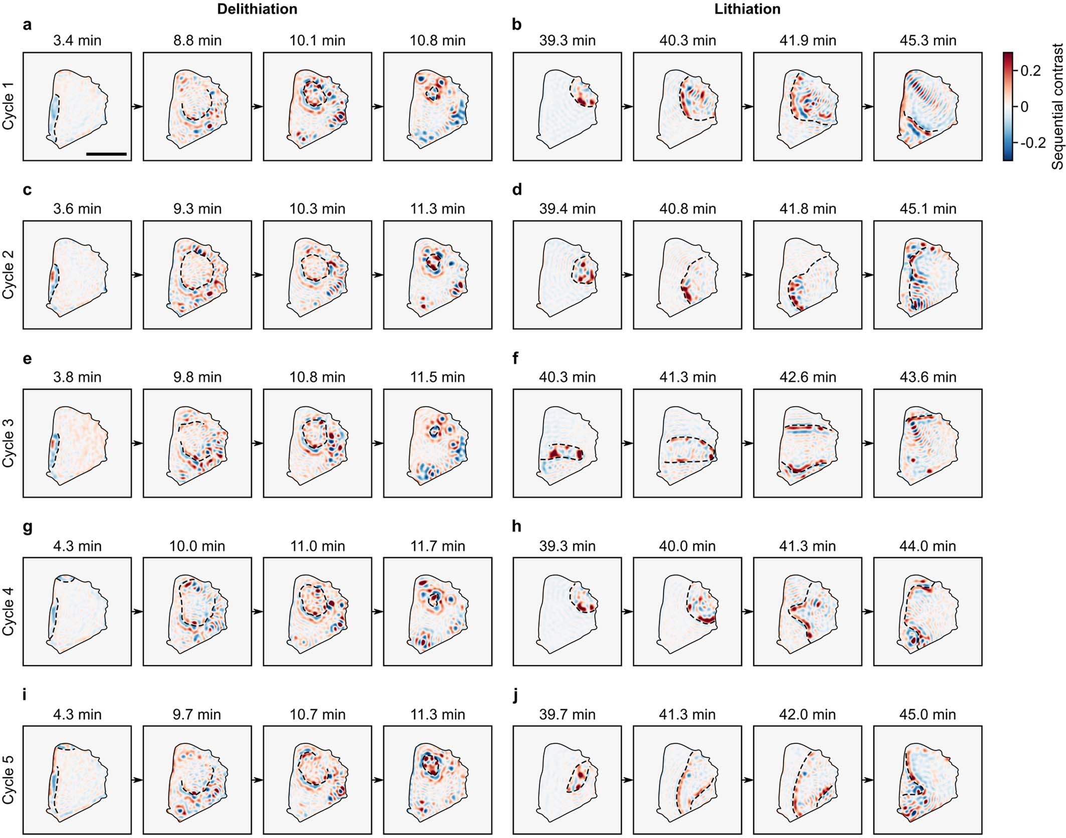Extended Data Fig. 5