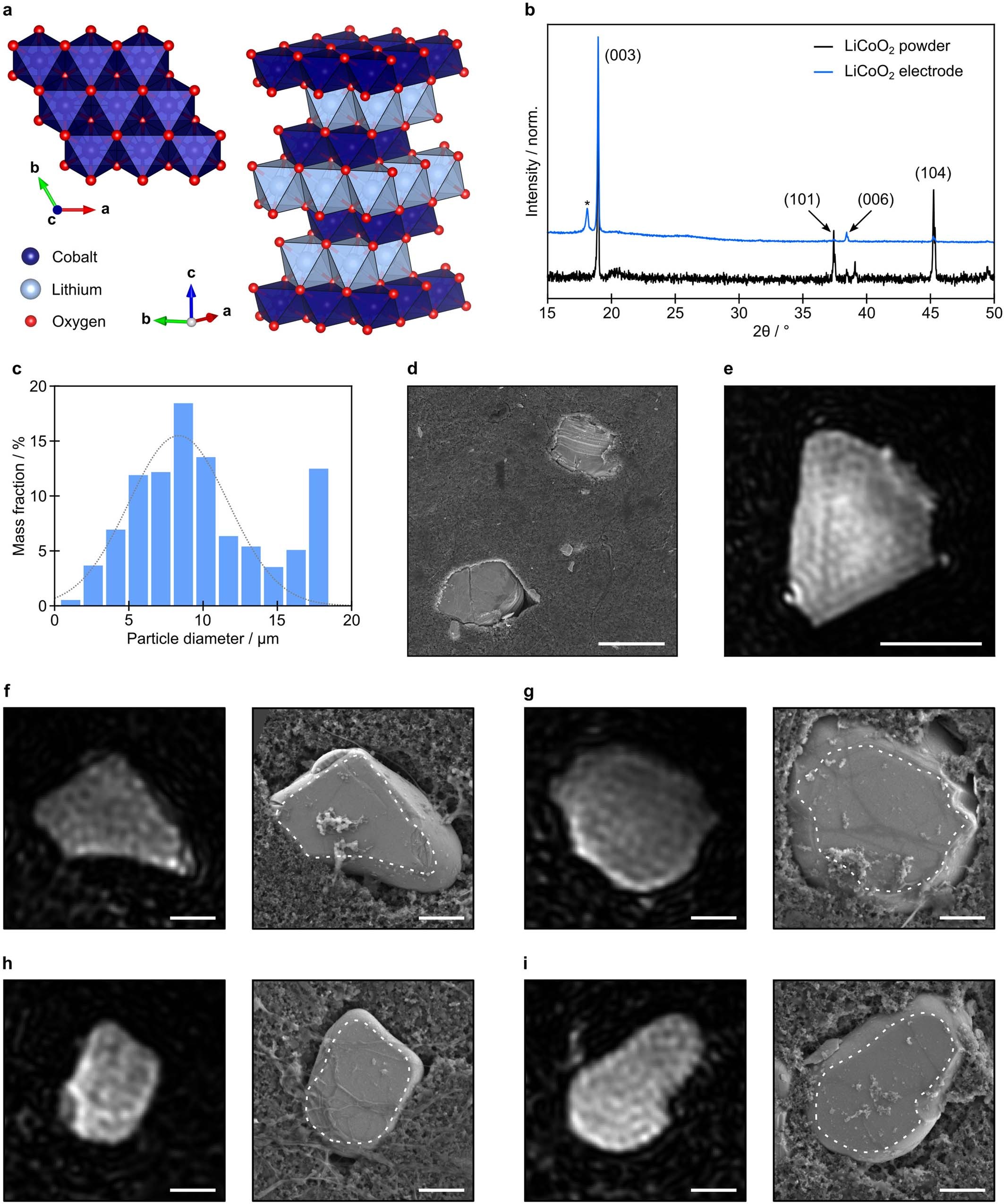 Extended Data Fig. 1