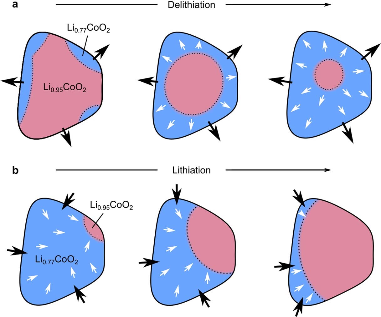 Extended Data Fig. 4