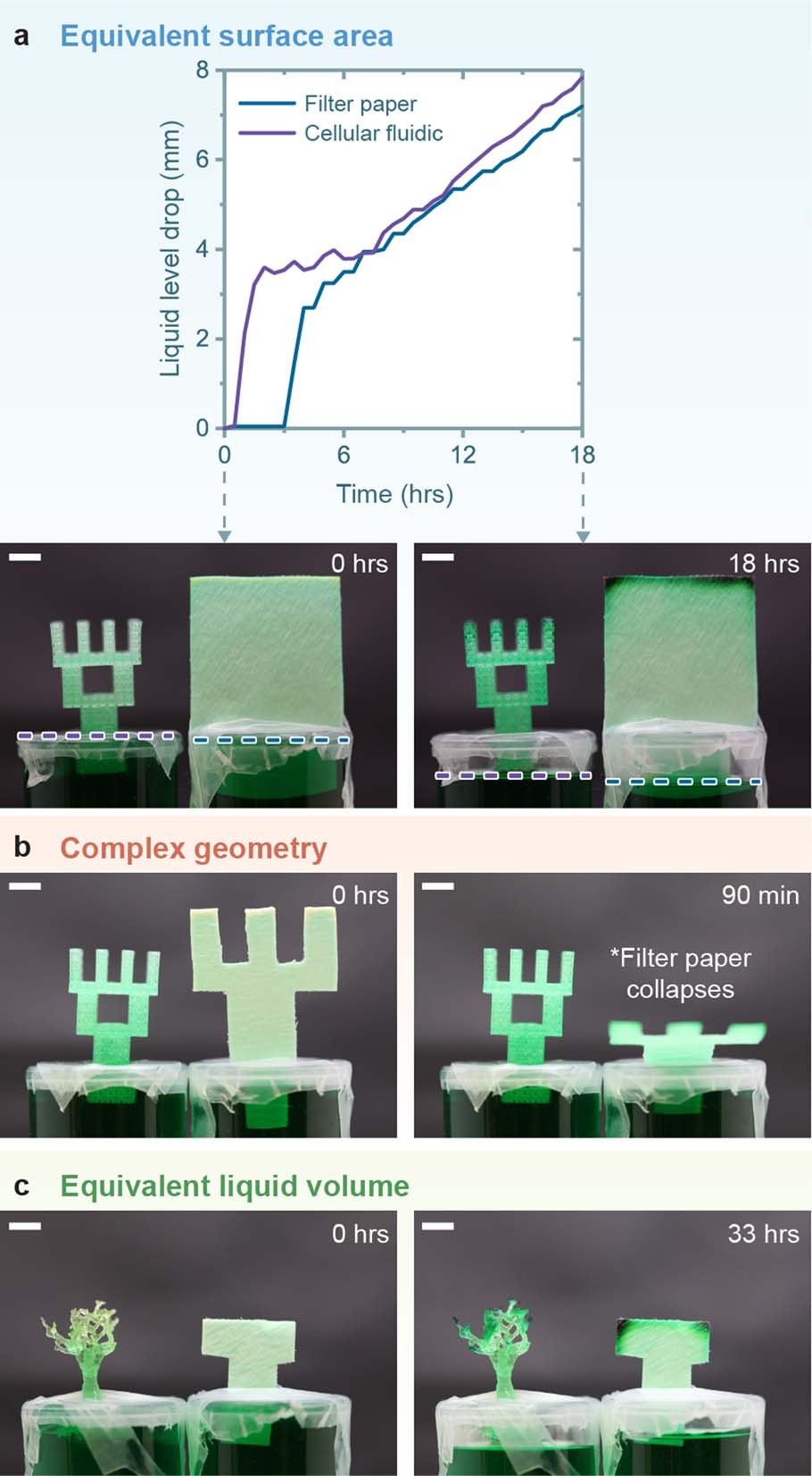 Extended Data Fig. 7: Transpiration experiments comparing cellular fluidic structures with filter paper.
