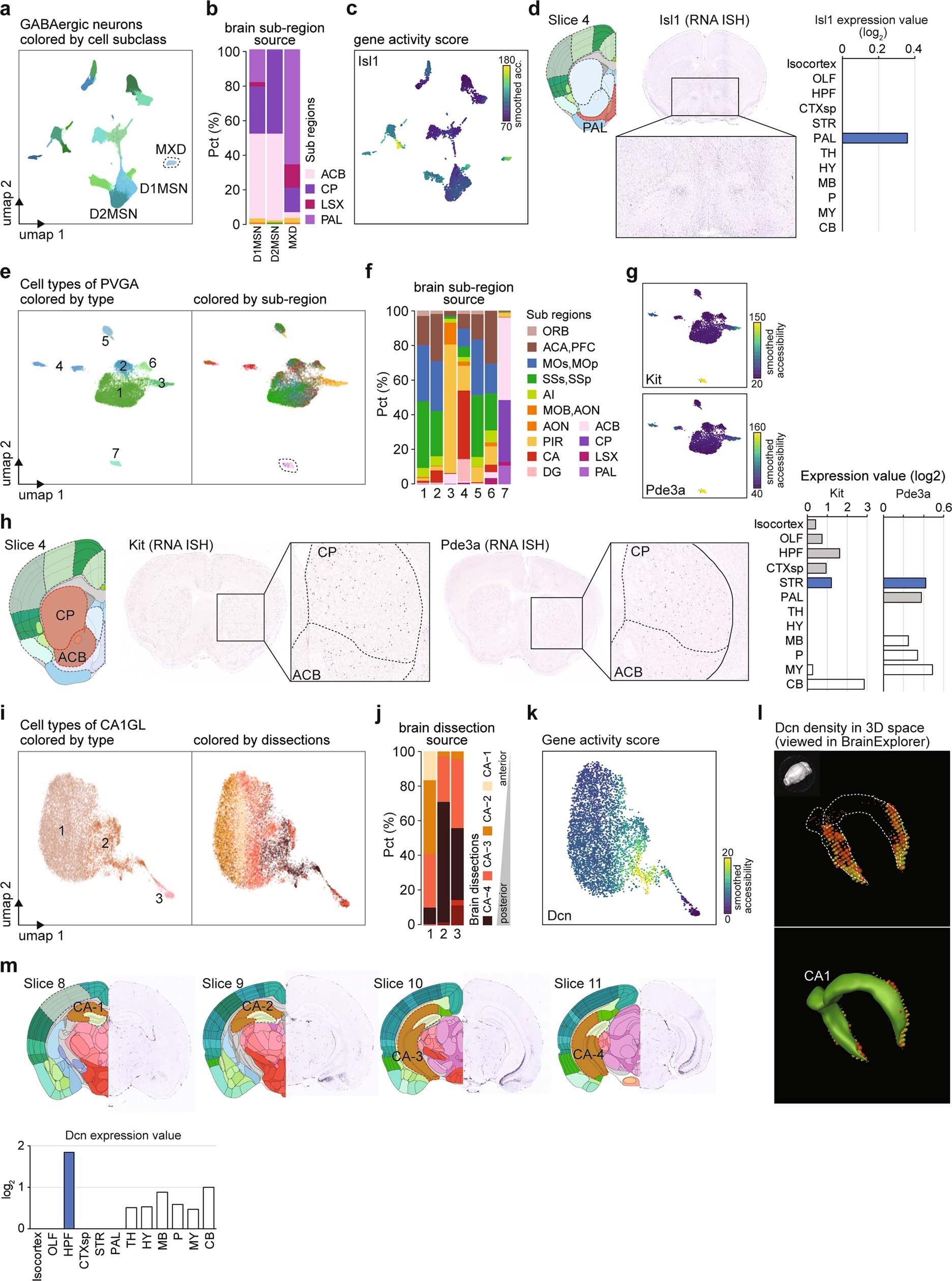 Extended Data Fig. 14: Brain region specificity of different subclasses and cell-types.
