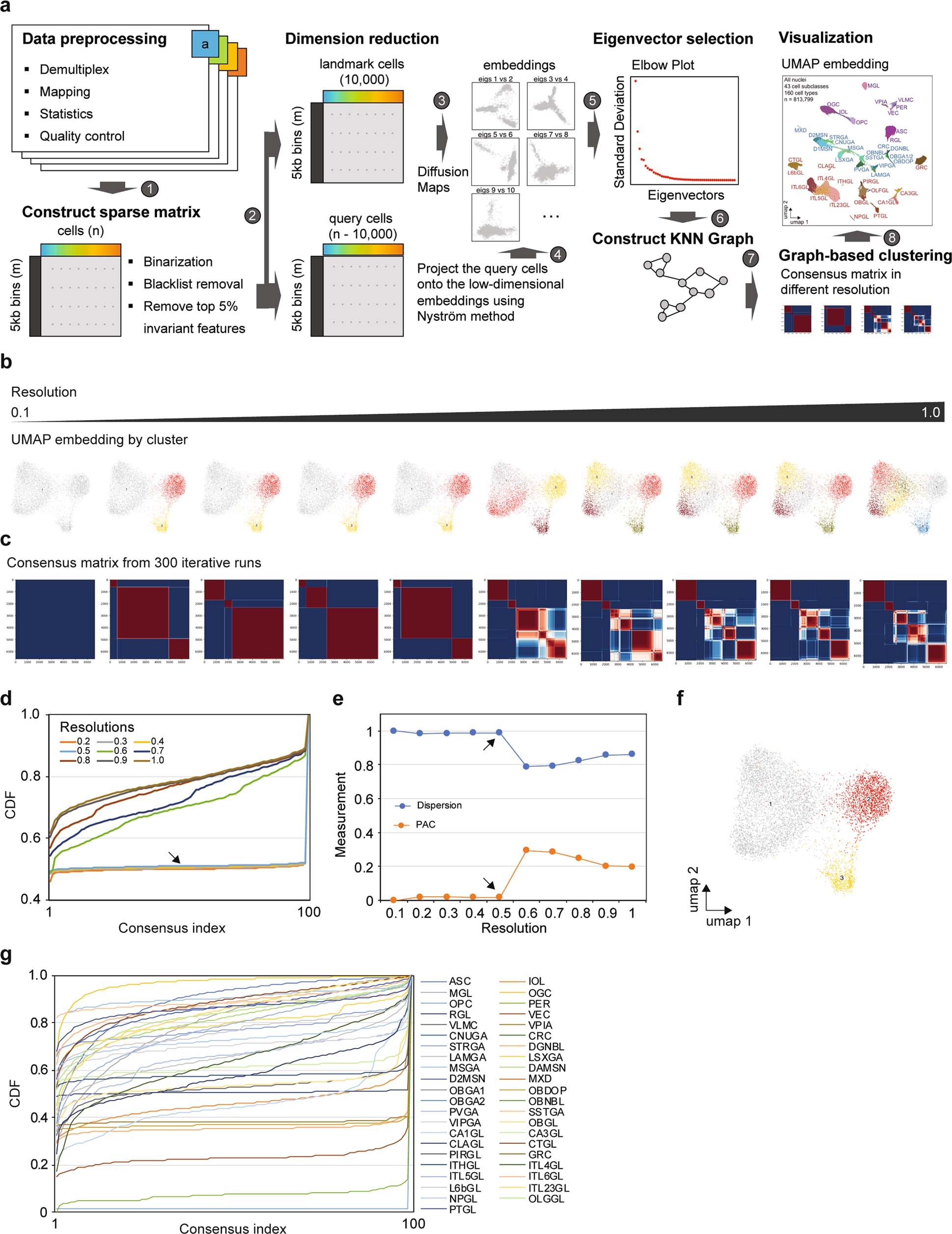 Extended Data Fig. 3: Cell clustering based on snATAC-seq data.