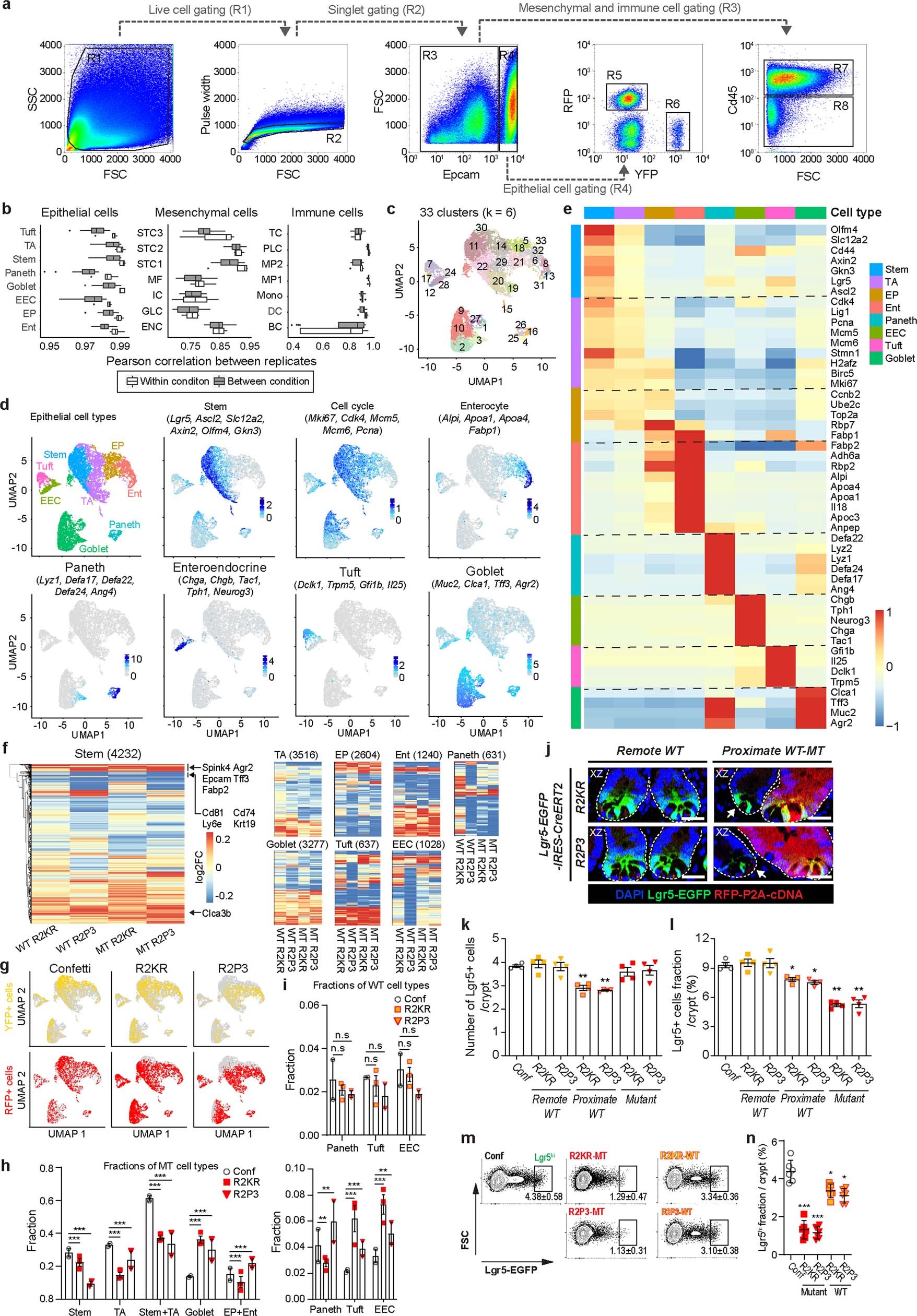 Extended Data Fig. 6: Oncogene-driven signalling changes.