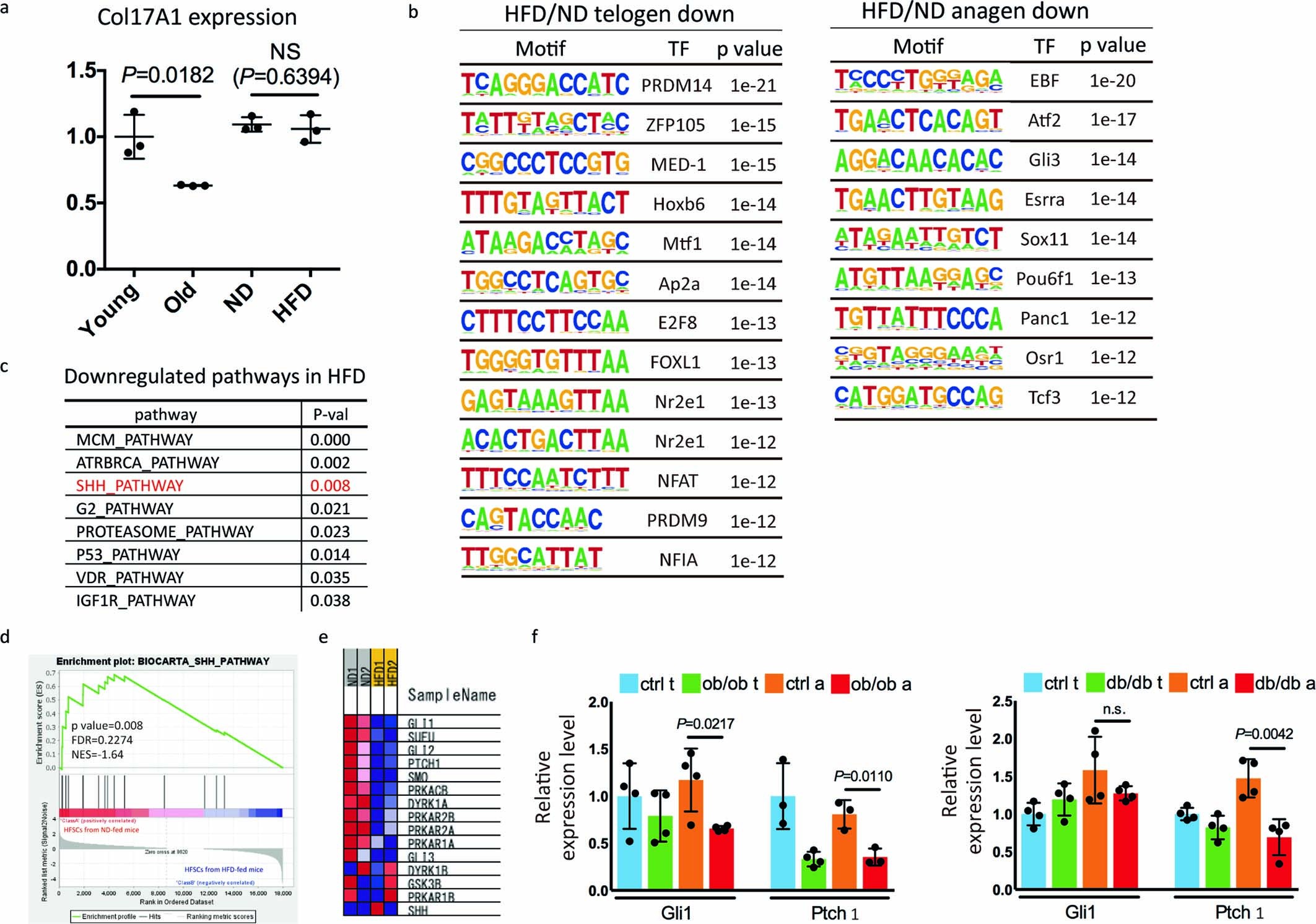 Extended Data Fig. 4: SHH signalling is inhibited specifically in HFSCs from HFD-fed mice.
