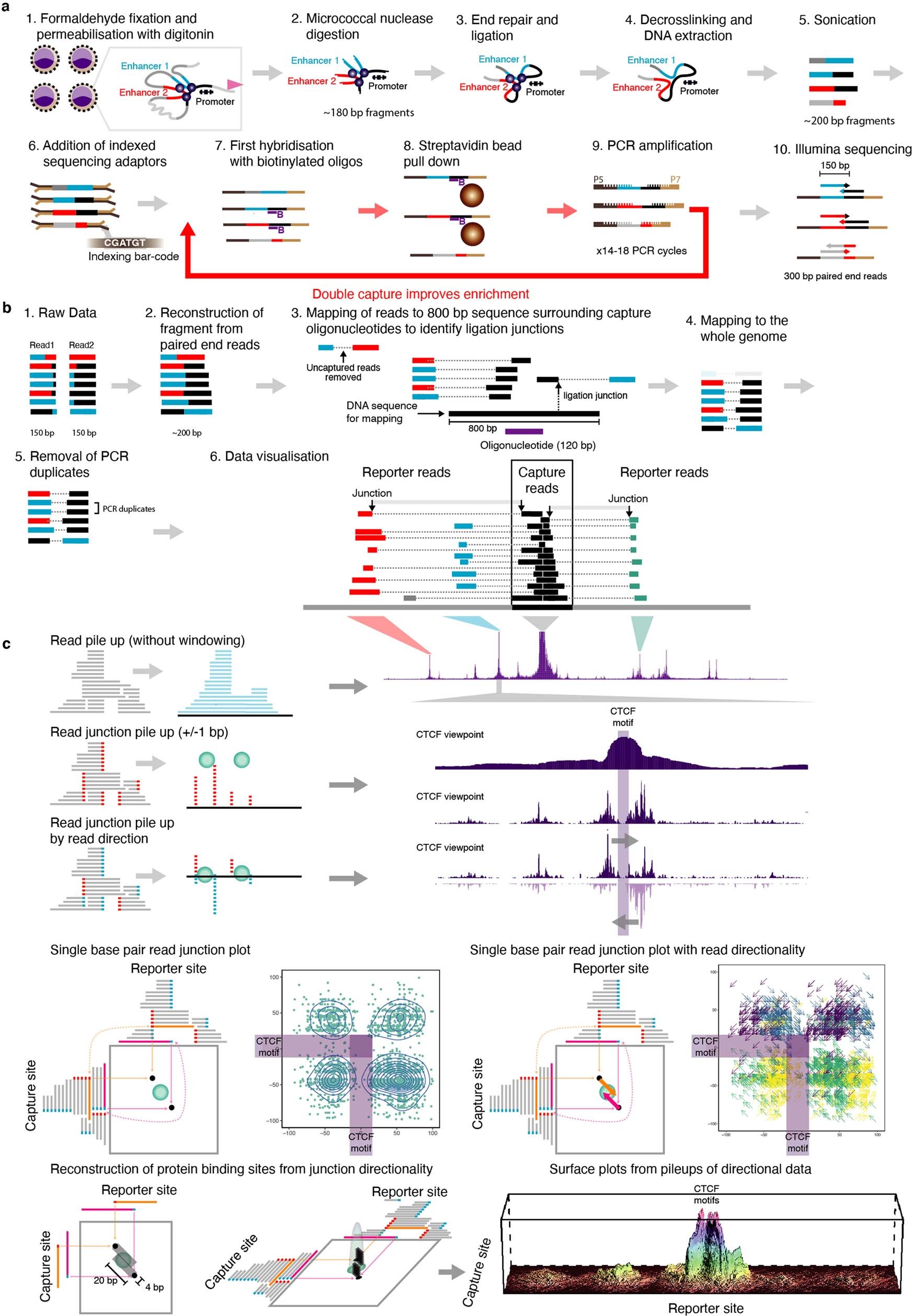 Extended Data Fig. 1