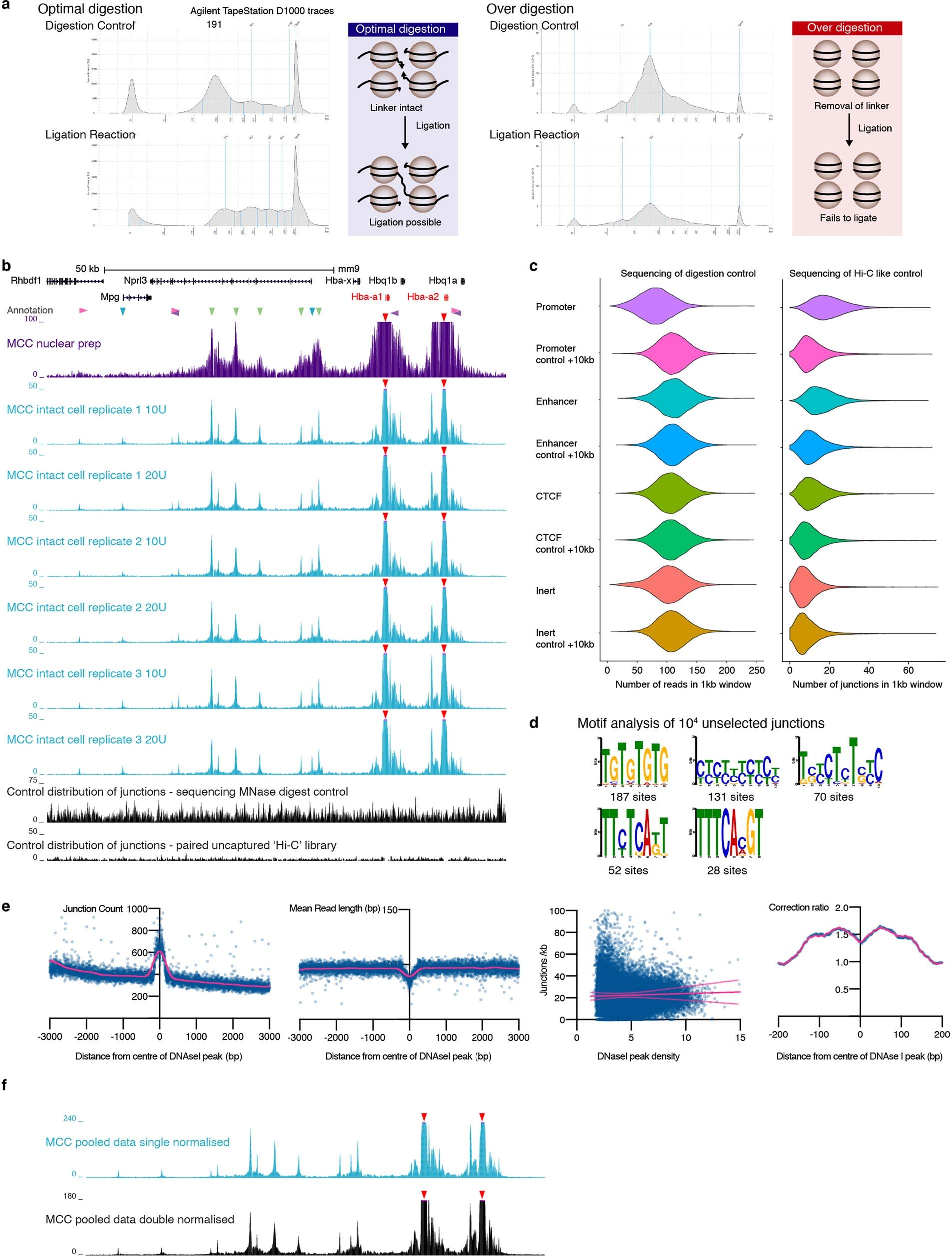 Extended Data Fig. 2: Technical details of library preparation, reproducibility and biases.