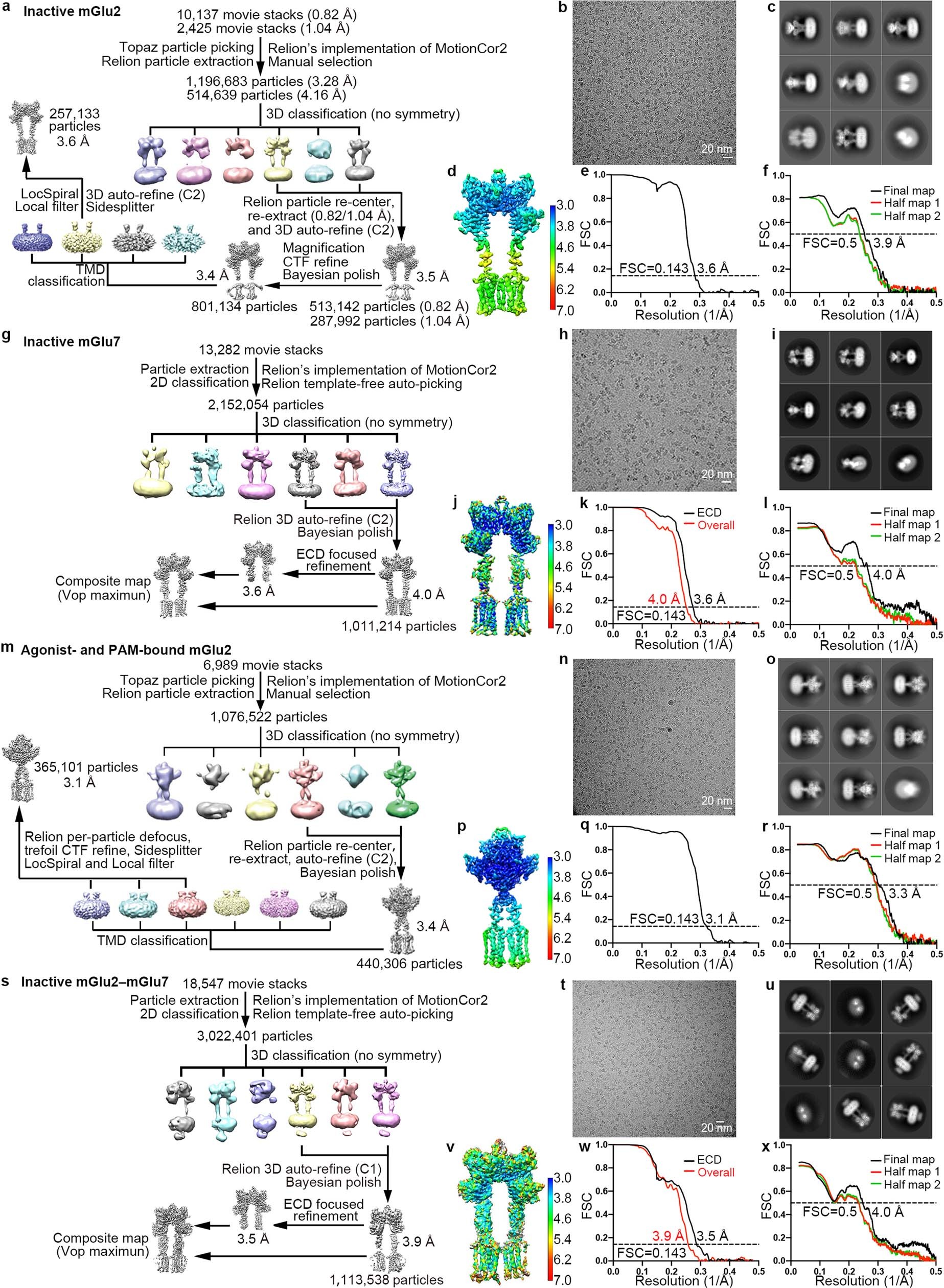 Extended Data Fig. 2: Cryo-EM processing and 3D reconstruction workflow.