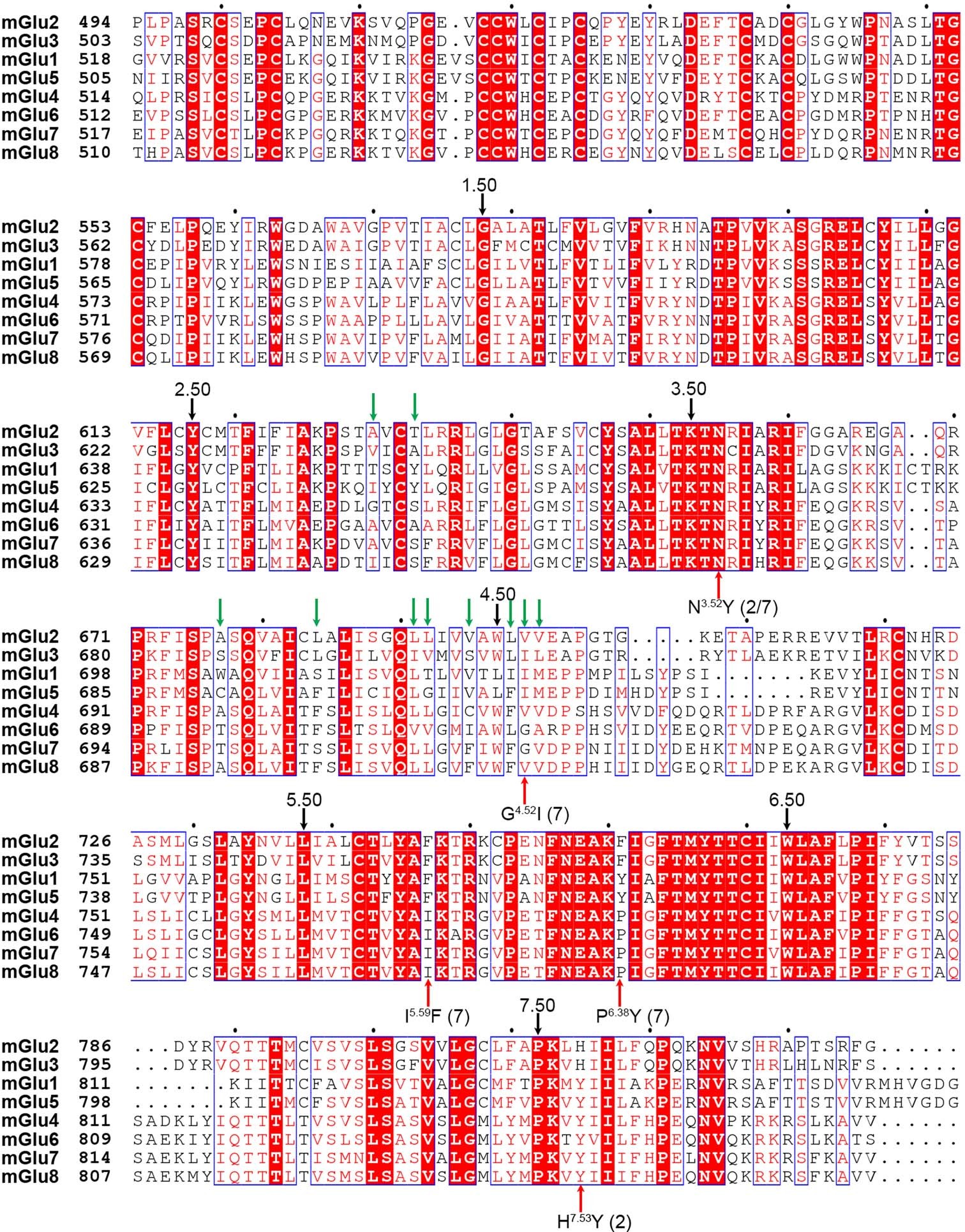 Extended Data Fig. 5: Sequence alignment of the TMDs of human mGlus.