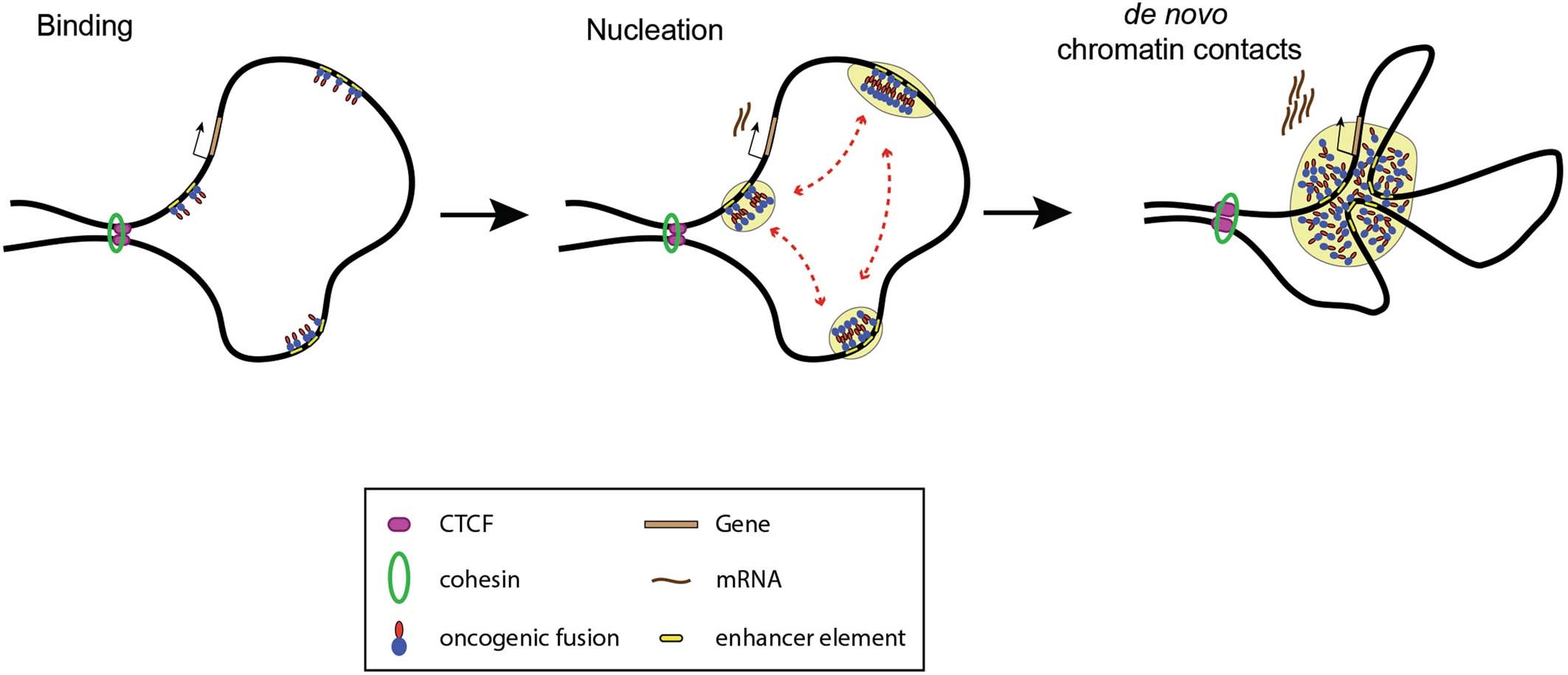 Extended Data Fig. 11