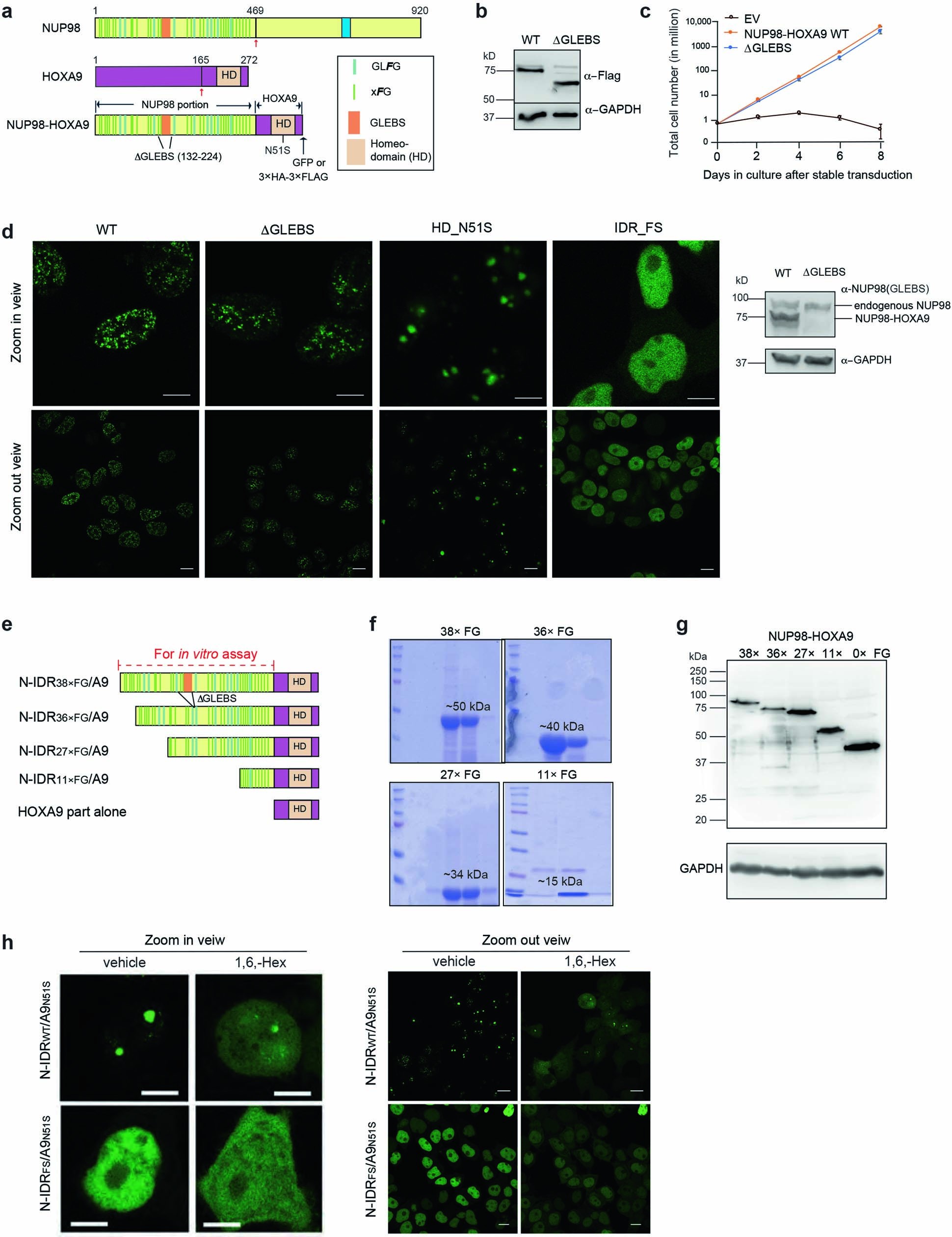 Extended Data Fig. 1