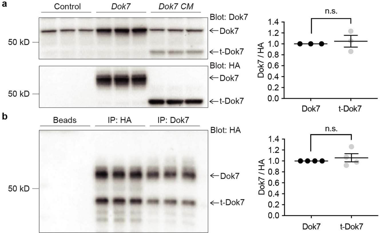 Extended Data Fig. 2
