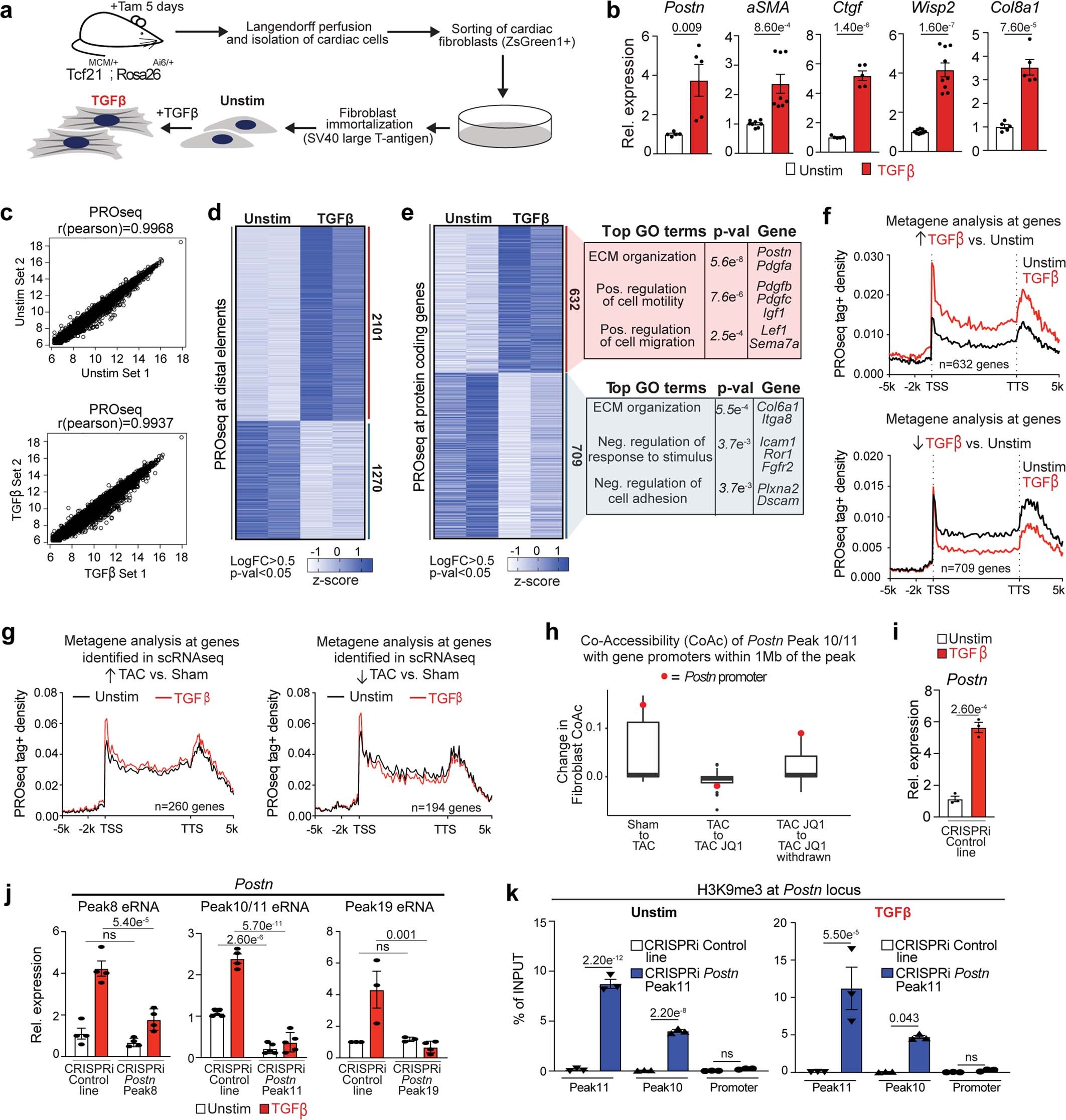 Extended Data Fig. 6: Nascent transcription in TGFβ-treated cells identifies stress-responsive distal and gene elements.