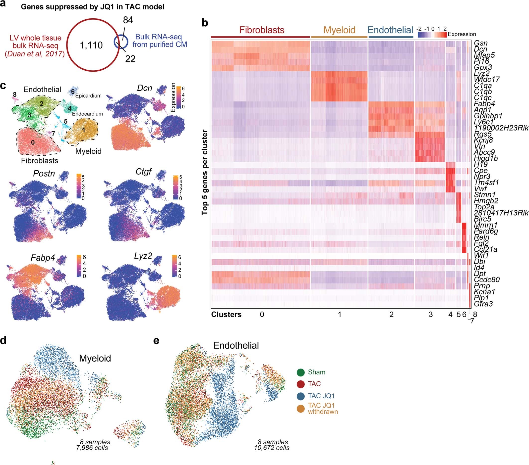 Extended Data Fig. 1: Single-cell transcriptional landscape of non-cardiomyocytes in heart failure during intermittent exposure to BET bromodomain inhibition.