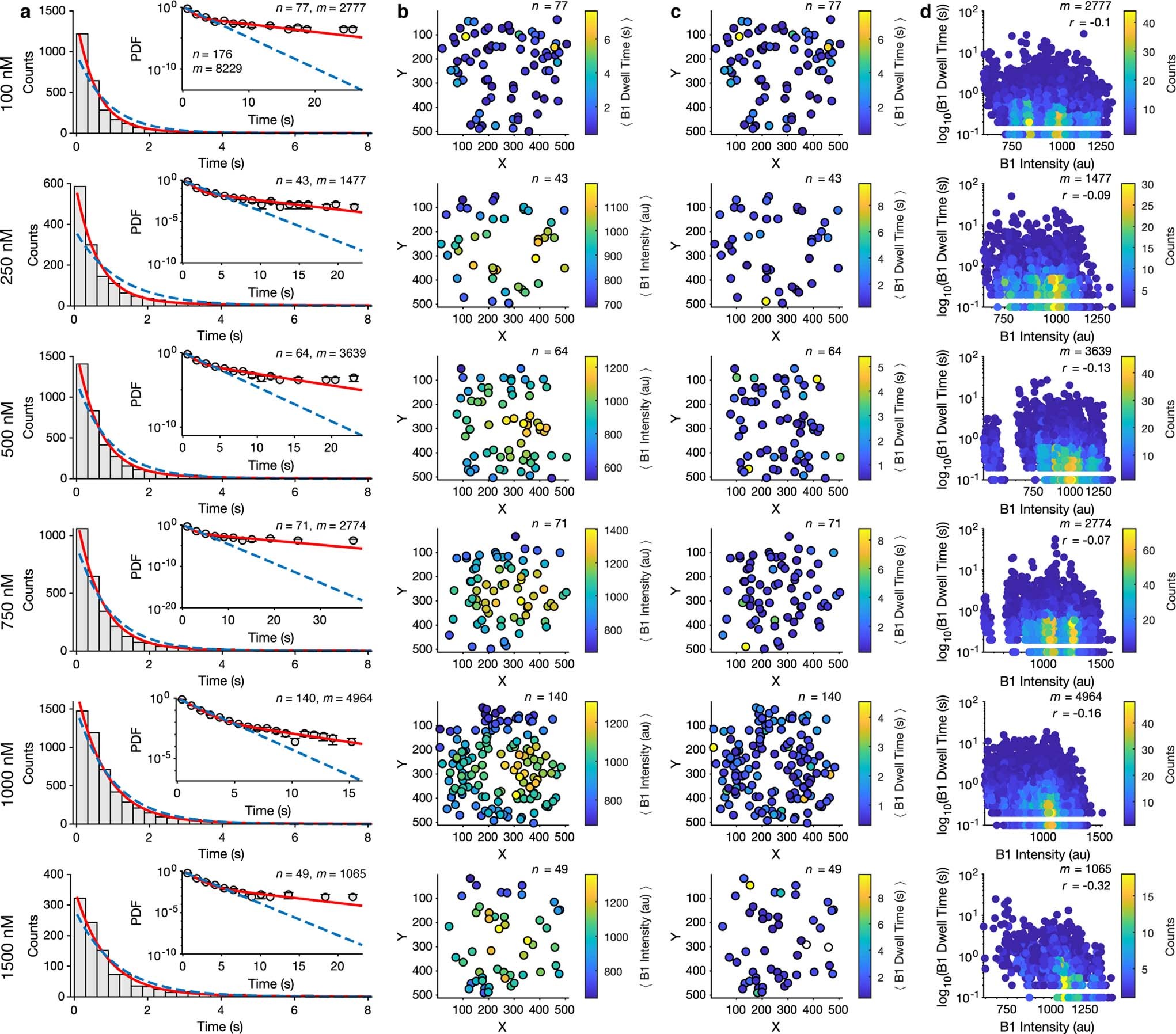 Extended Data Fig. 7: Isolated-B1 Events of HCN2SM.