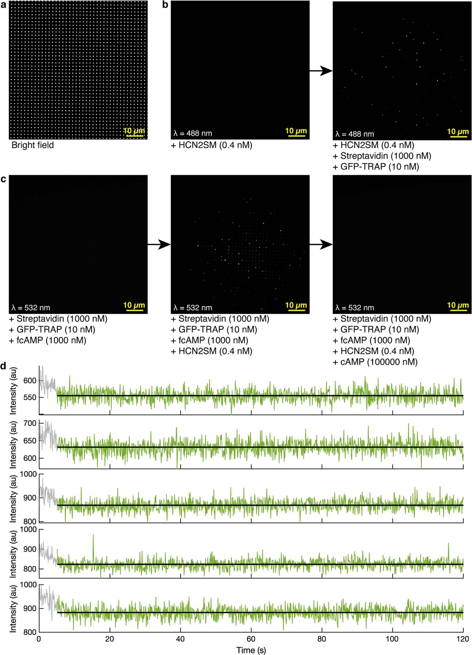 Extended Data Fig. 2: Non-specific binding in ZMWs.