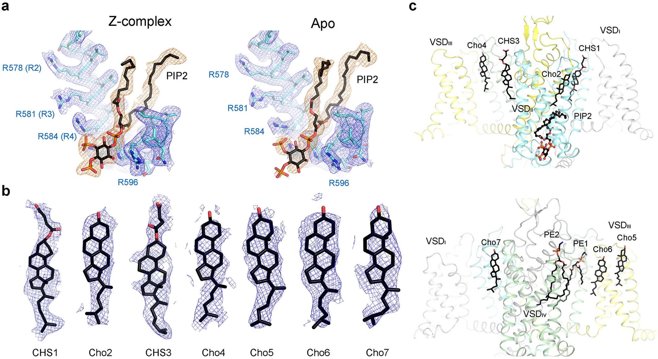 Extended Data Fig. 4