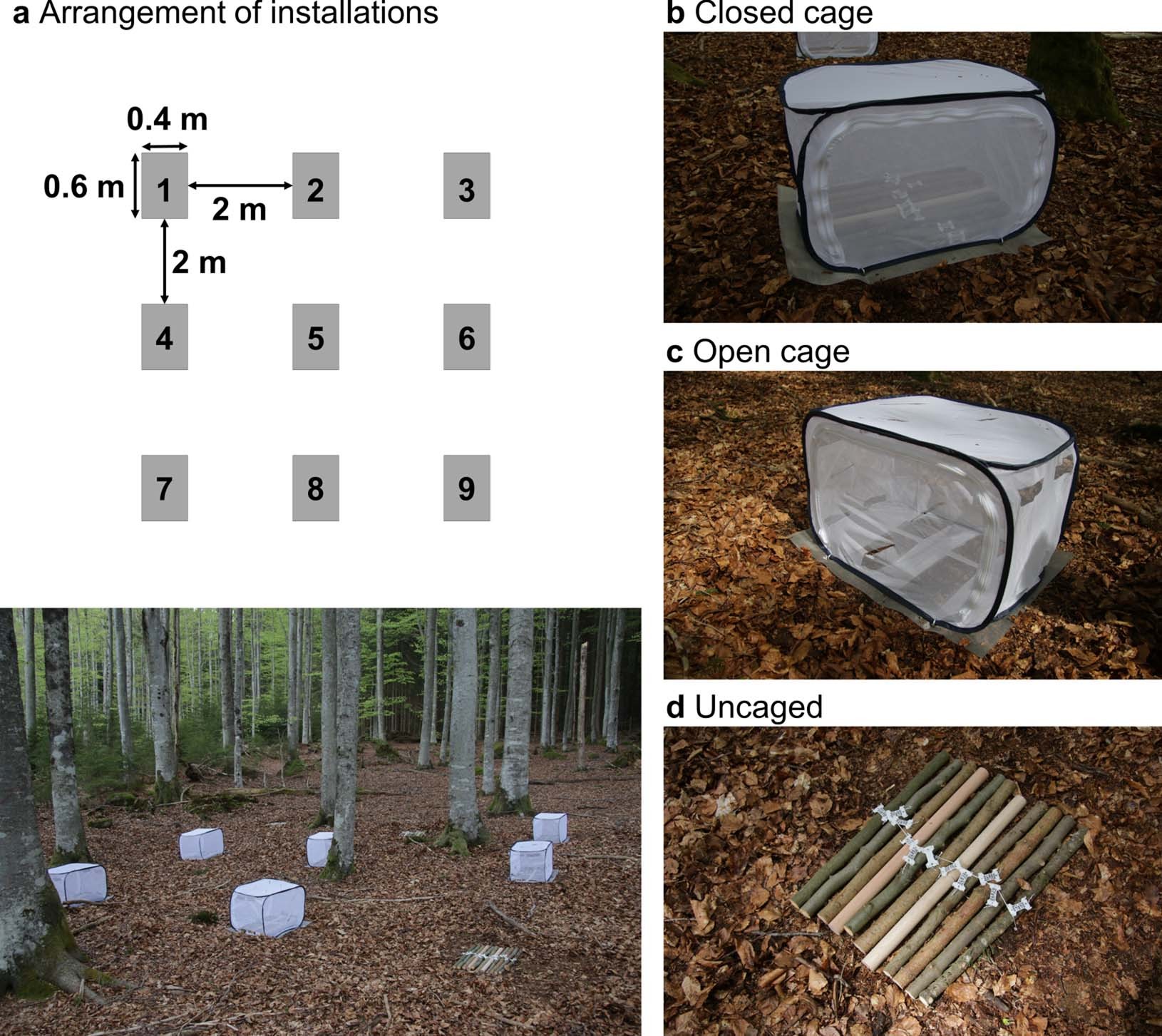 Extended Data Fig. 1: Arrangement of installations per site and per treatment.