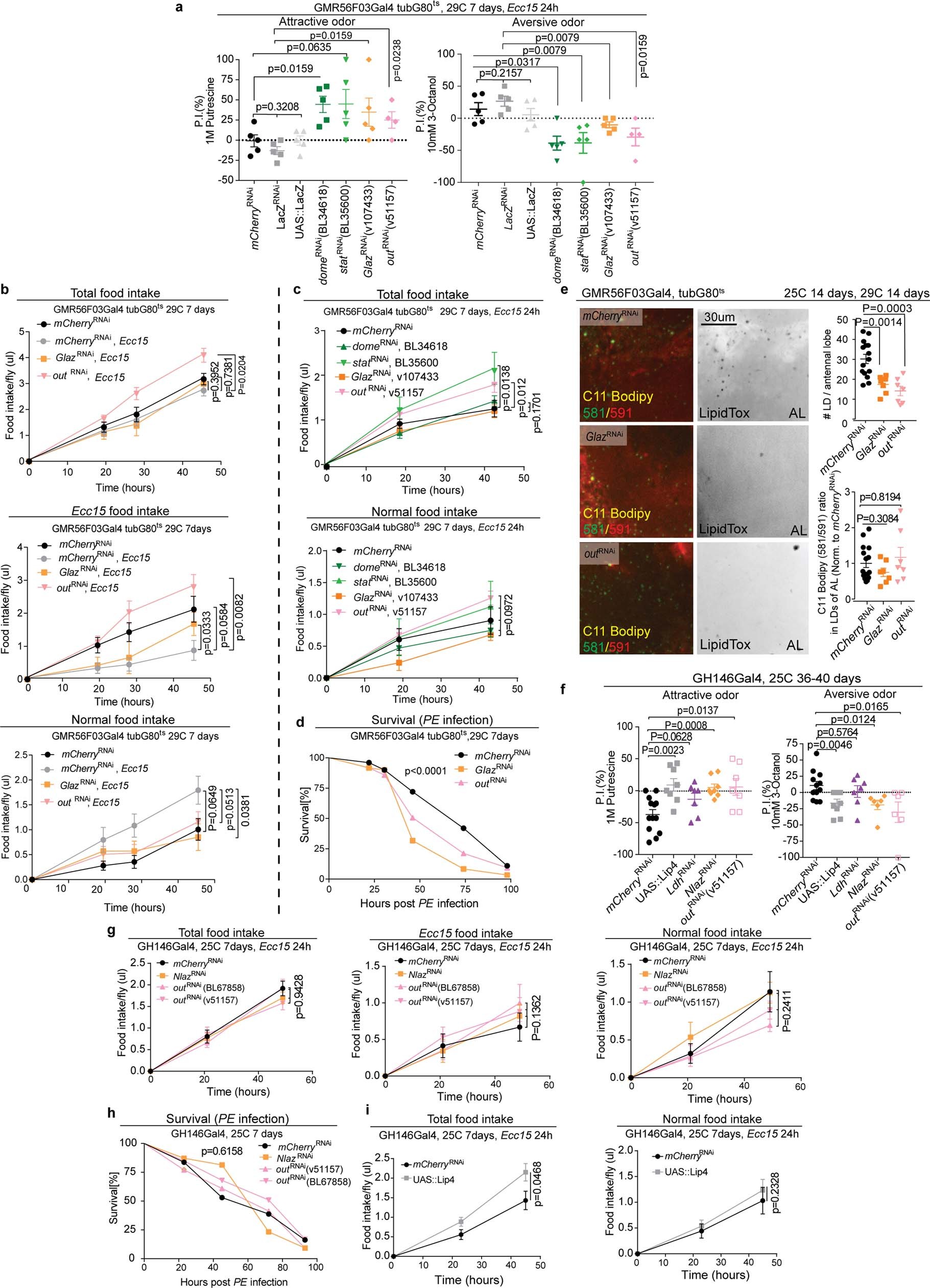 Extended Data Fig. 10: Inhibiting lipid export or lactate intake in projection neurons partially rescues the decline of olfaction sensitivity upon infection and during ageing.