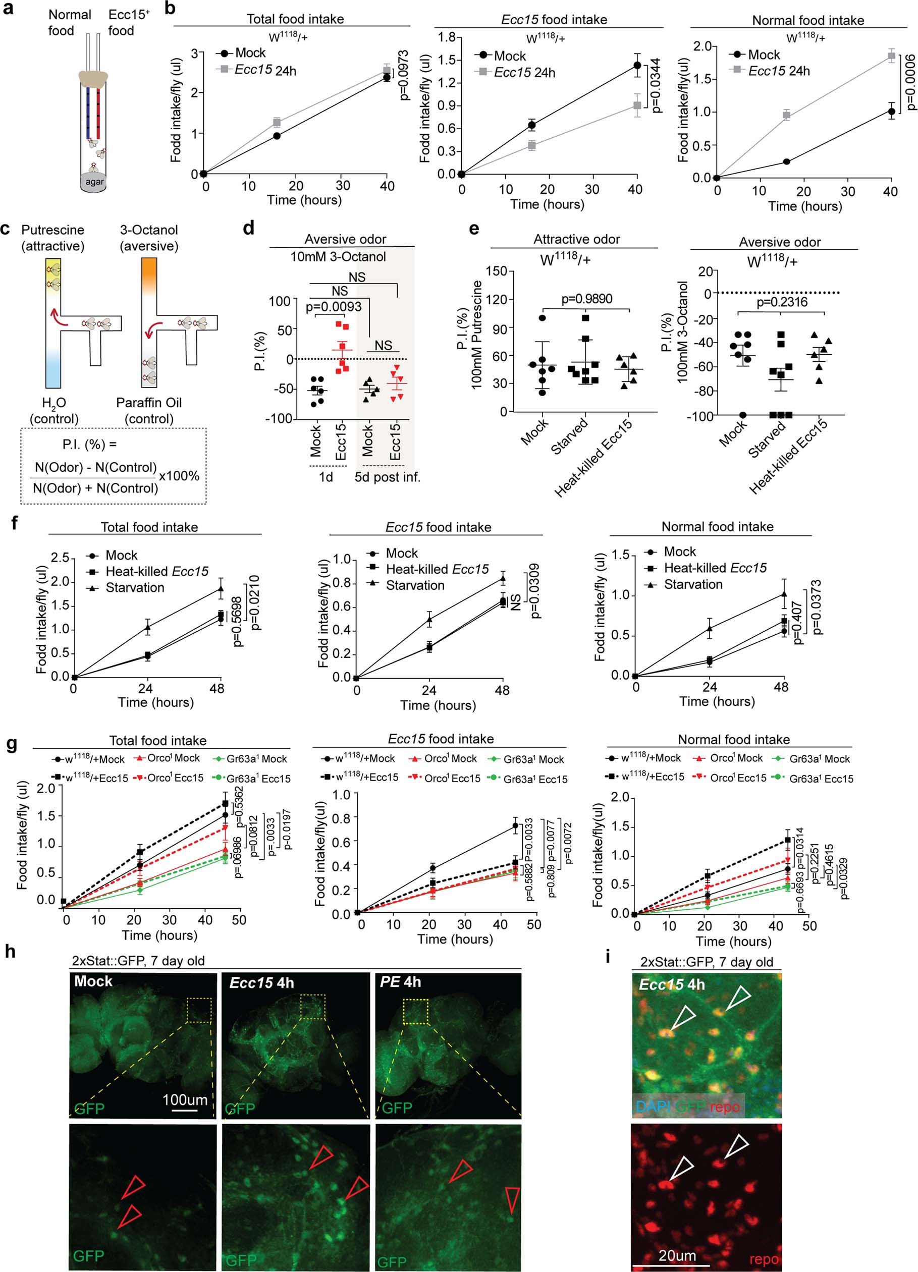 Extended Data Fig. 1: Orco and Gr63 odour receptors are required for infection-induced avoidance behaviours towards enteropathogens.