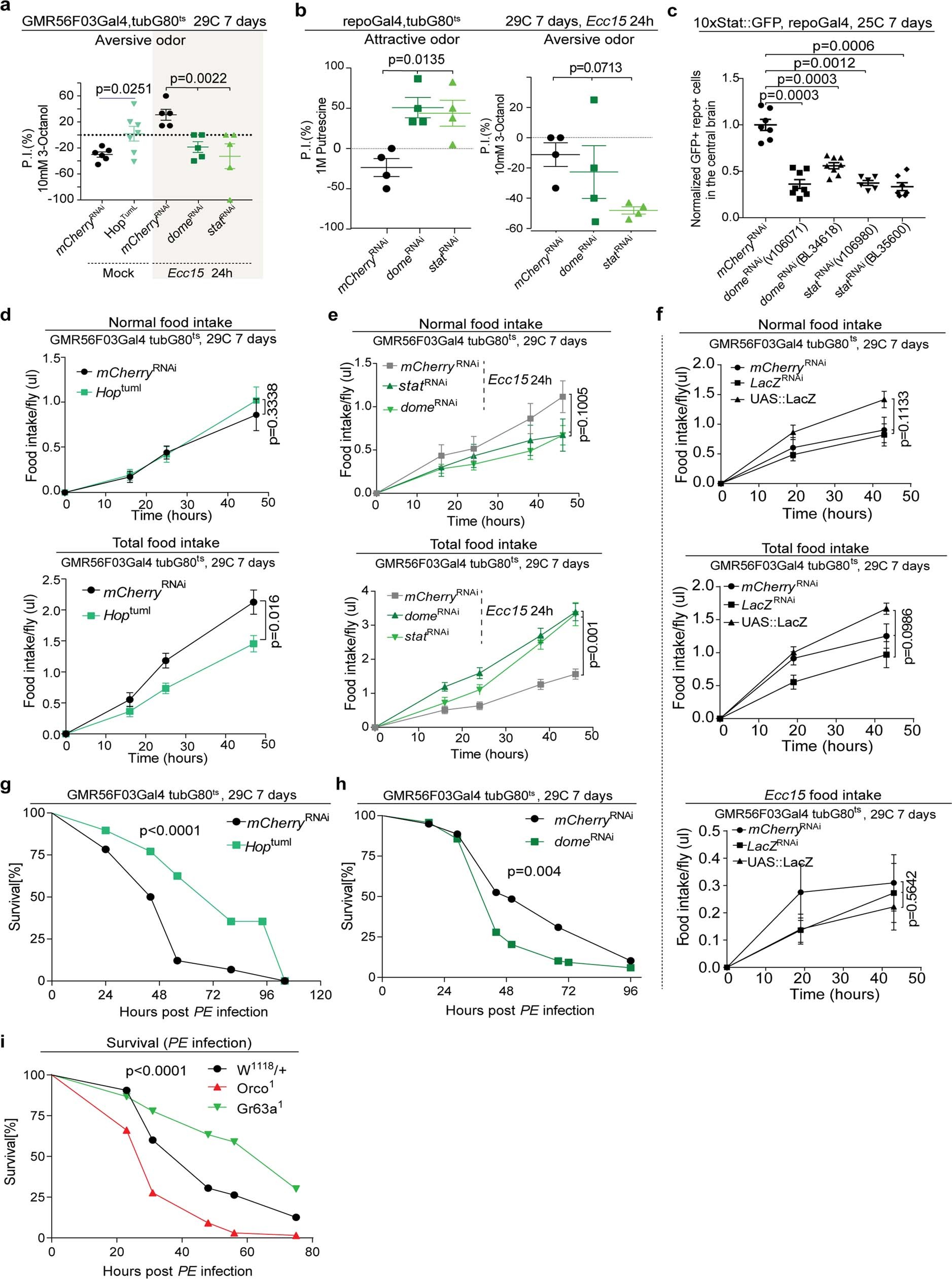 Extended Data Fig. 3: JAK–STAT signalling in EG promotes avoidance behaviour against Ecc15, yet increasing host survival upon acute infection.