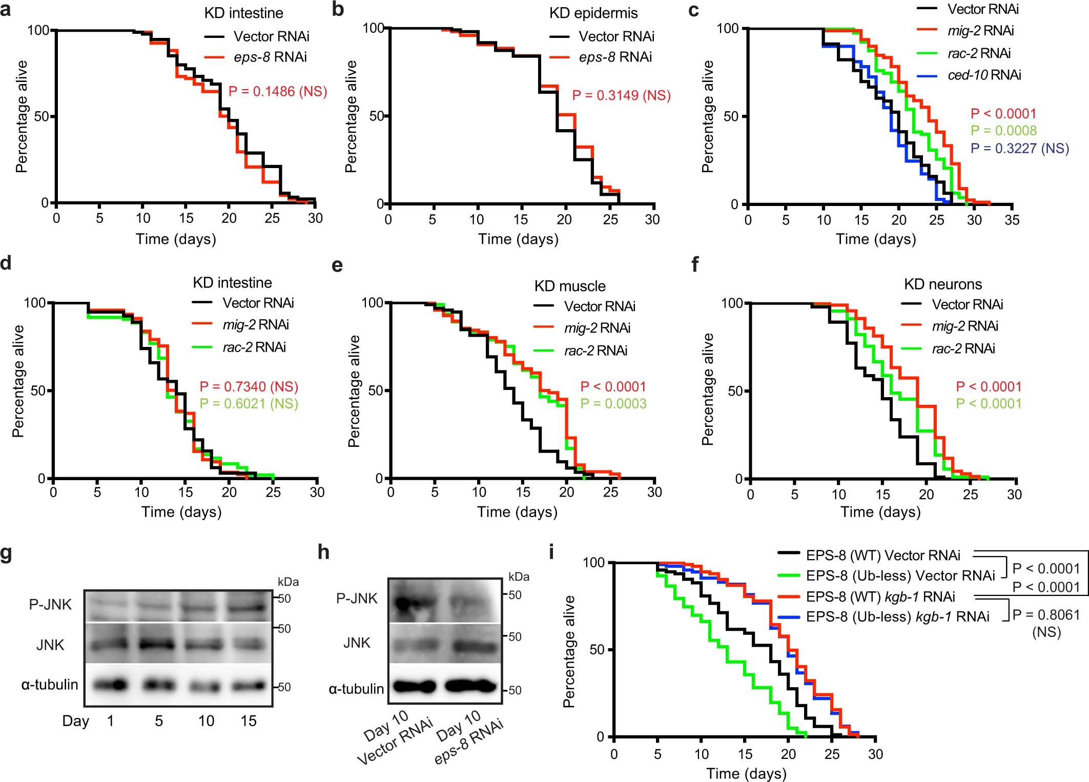 Extended Data Fig. 9