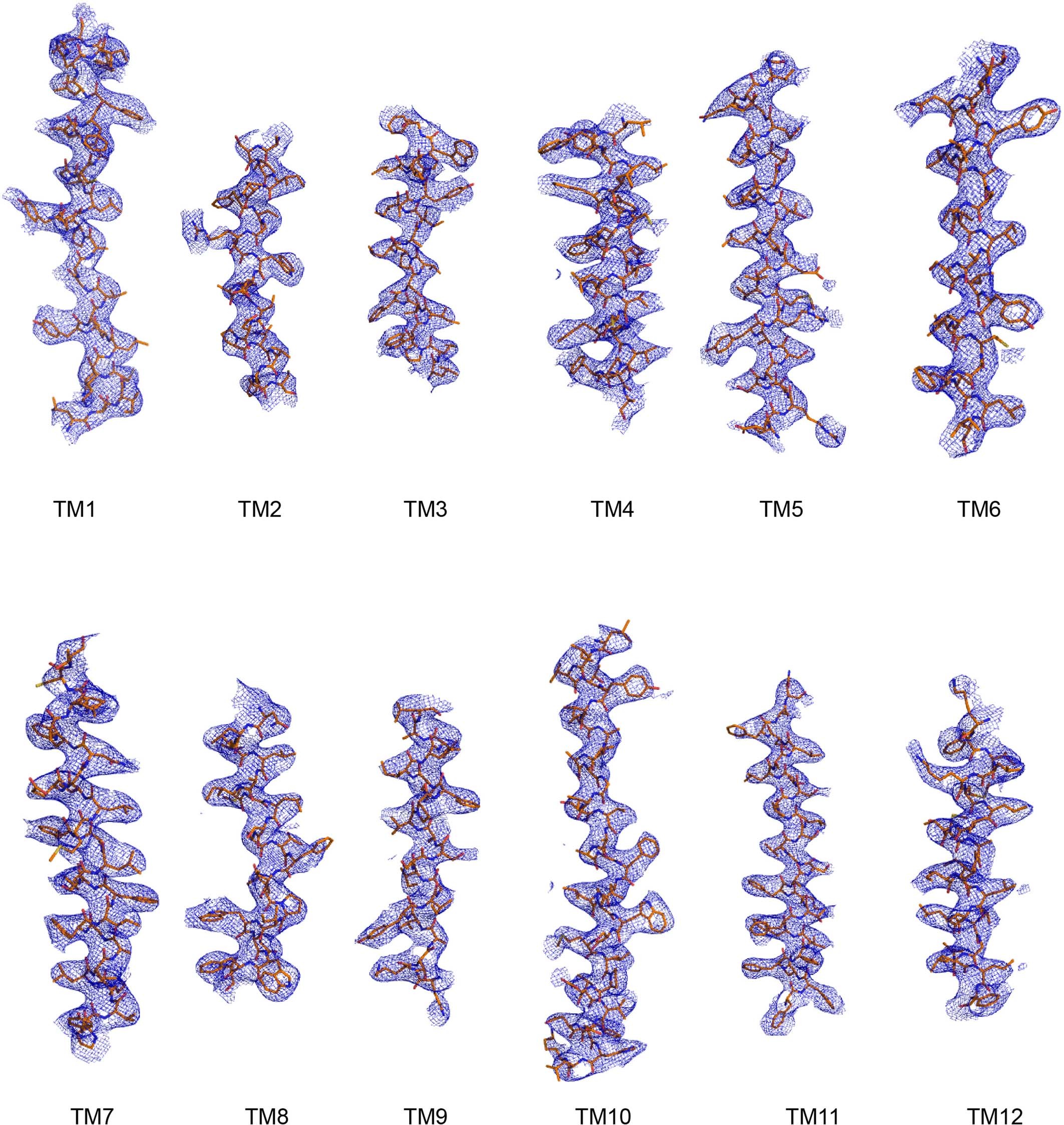 Extended Data Fig. 4
