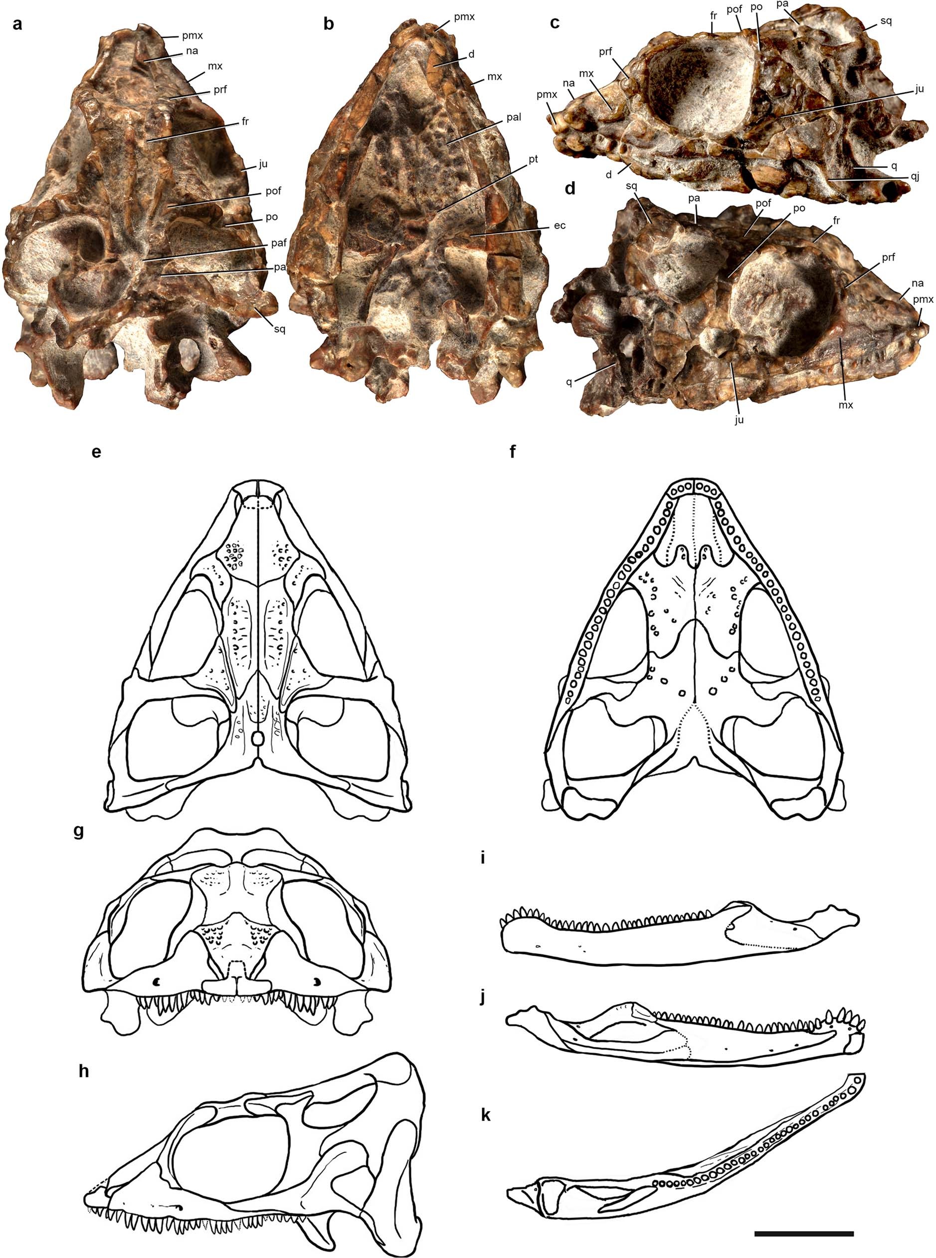 Extended Data Fig. 5