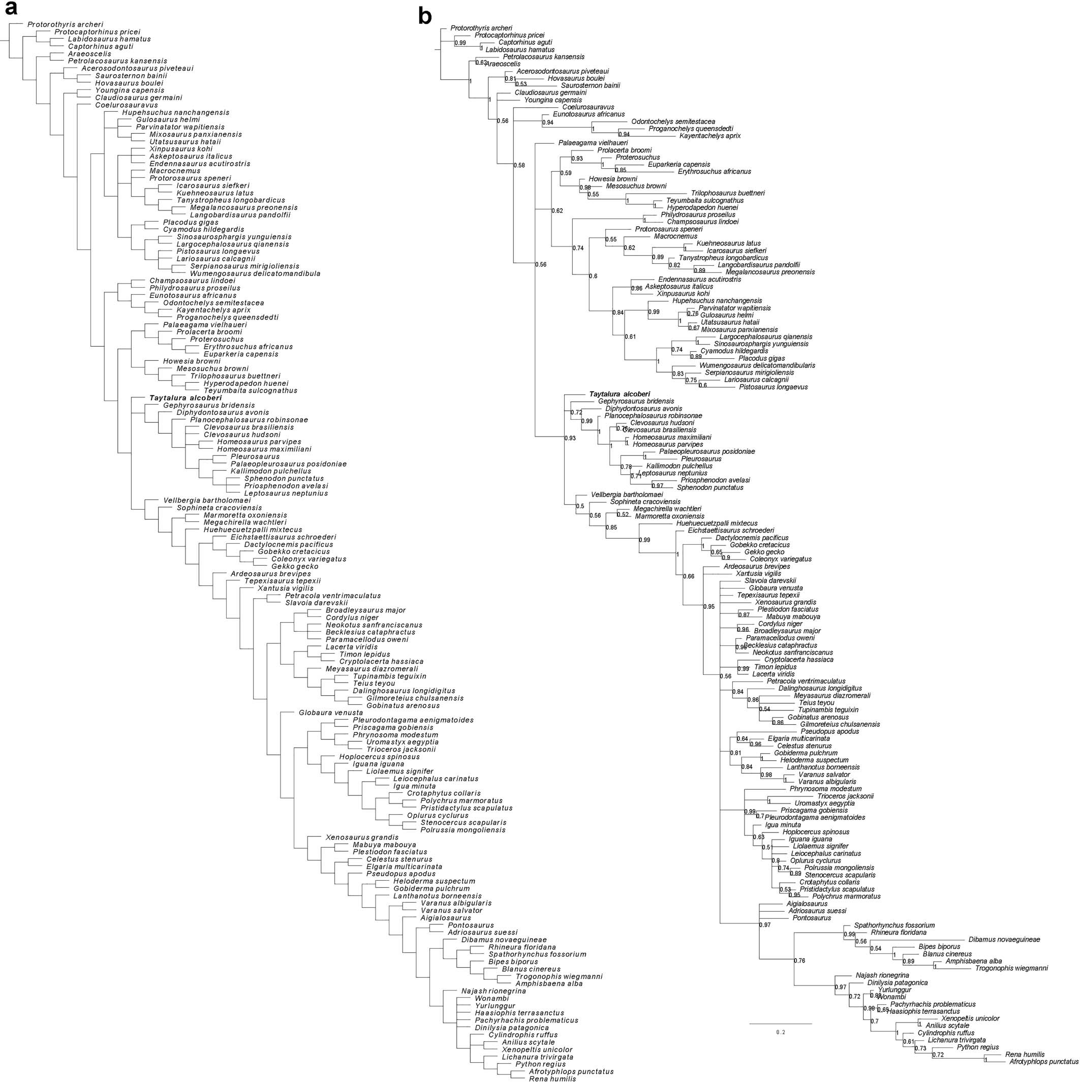Extended Data Fig. 6