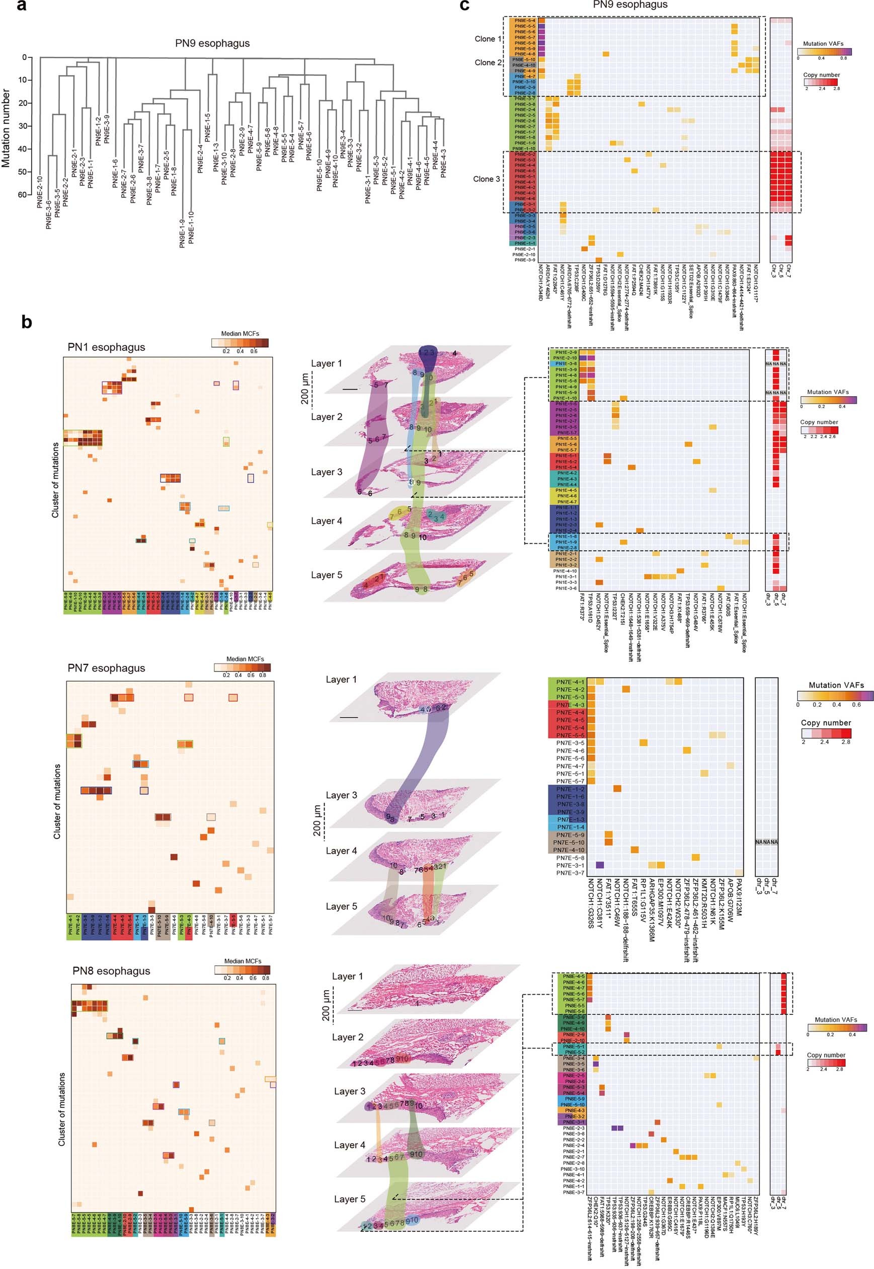 Extended Data Fig. 10