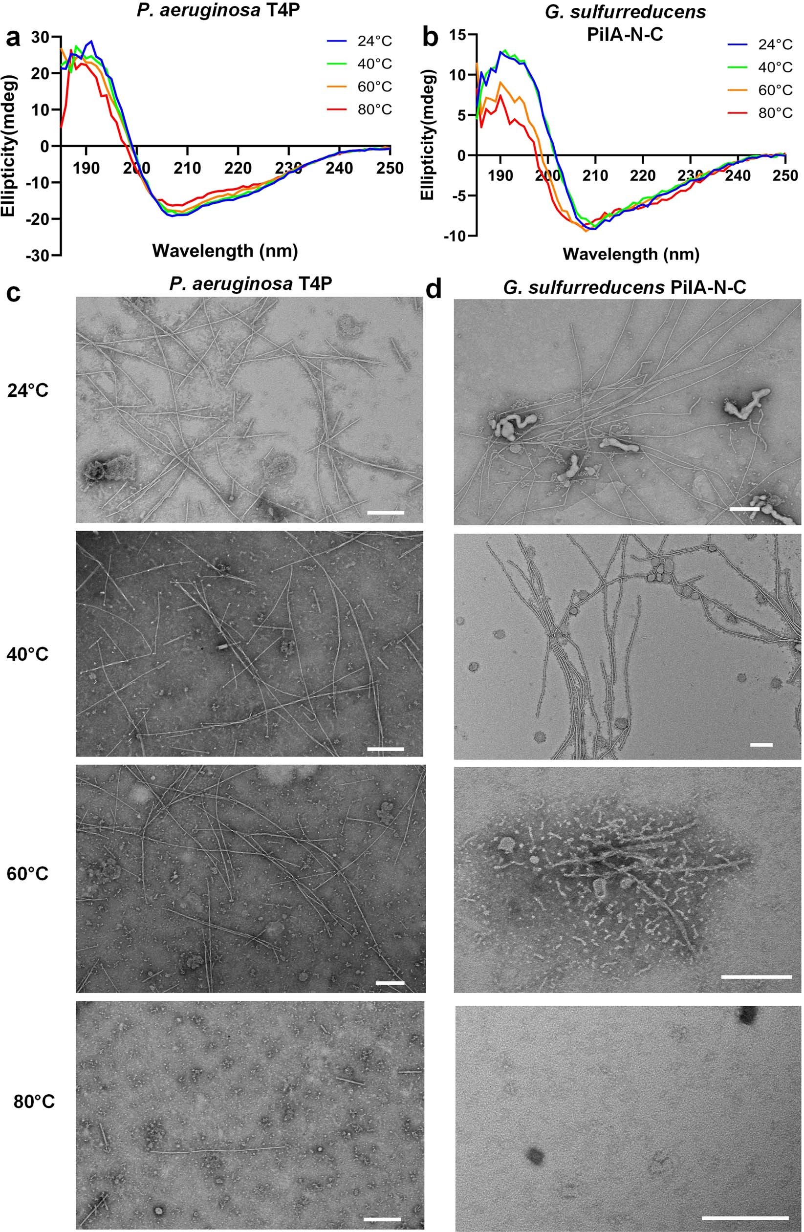 Extended Data Fig. 8