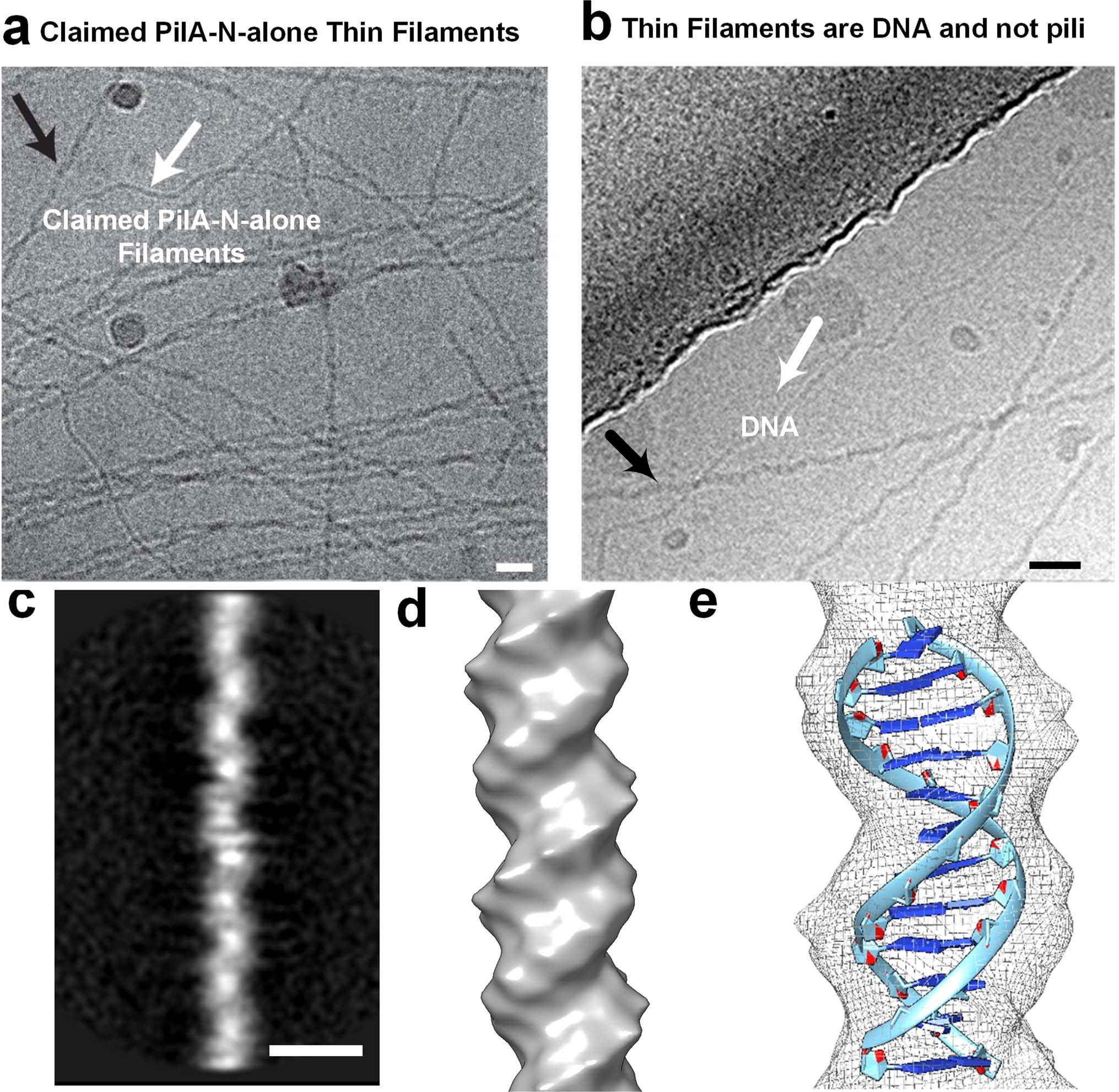 Extended Data Fig. 9