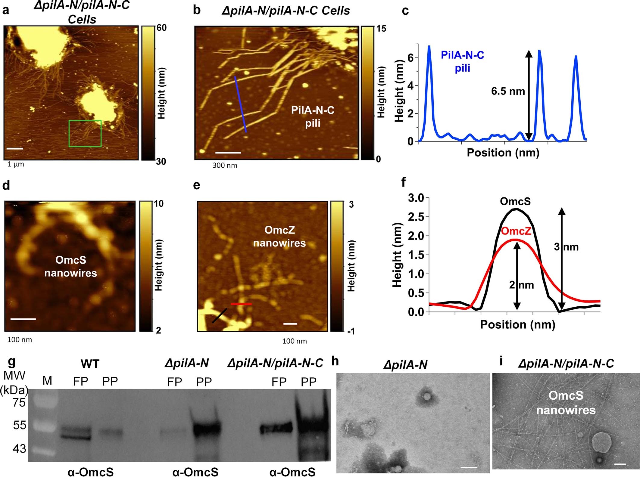 Extended Data Fig. 10