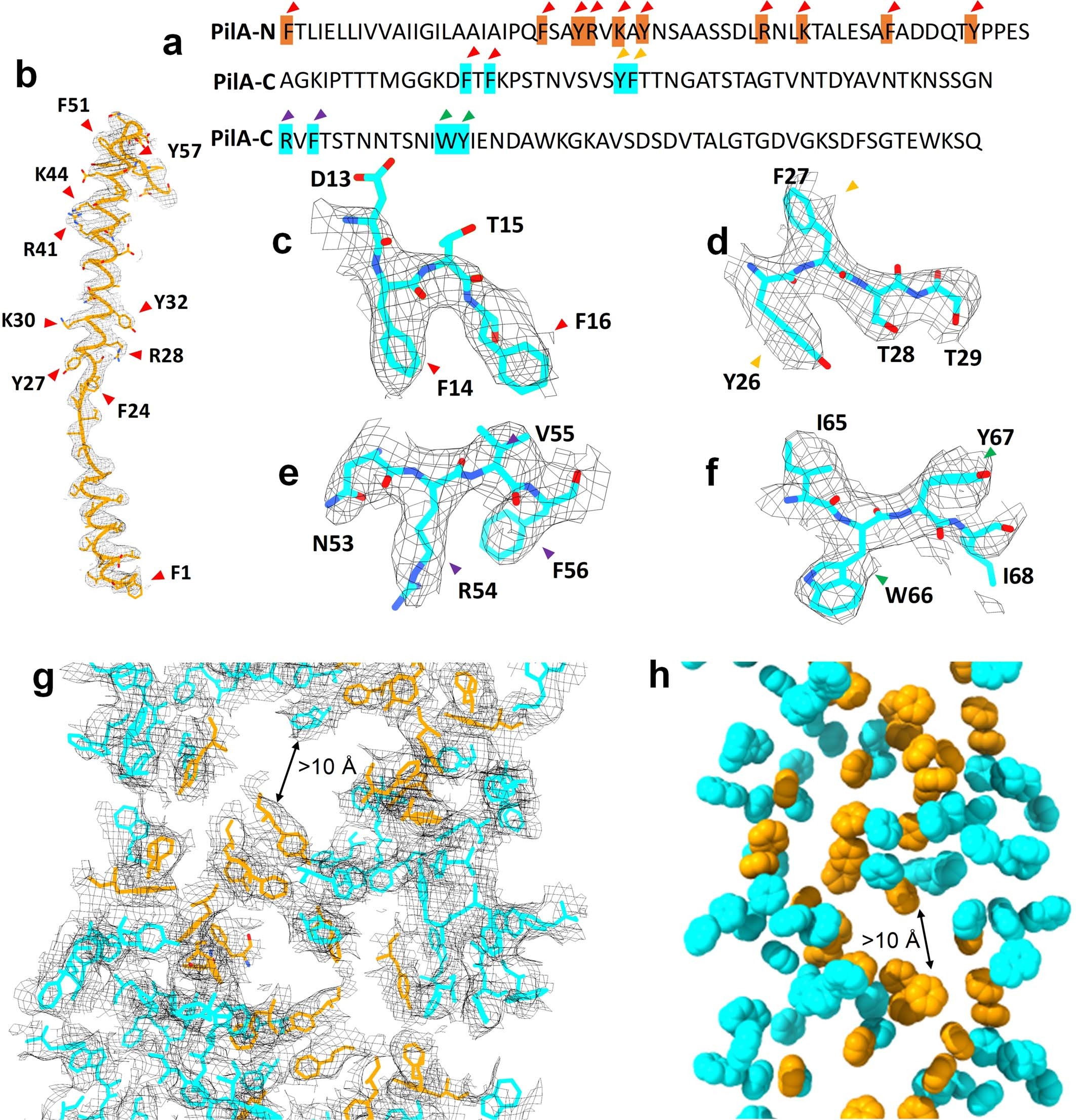 Extended Data Fig. 3