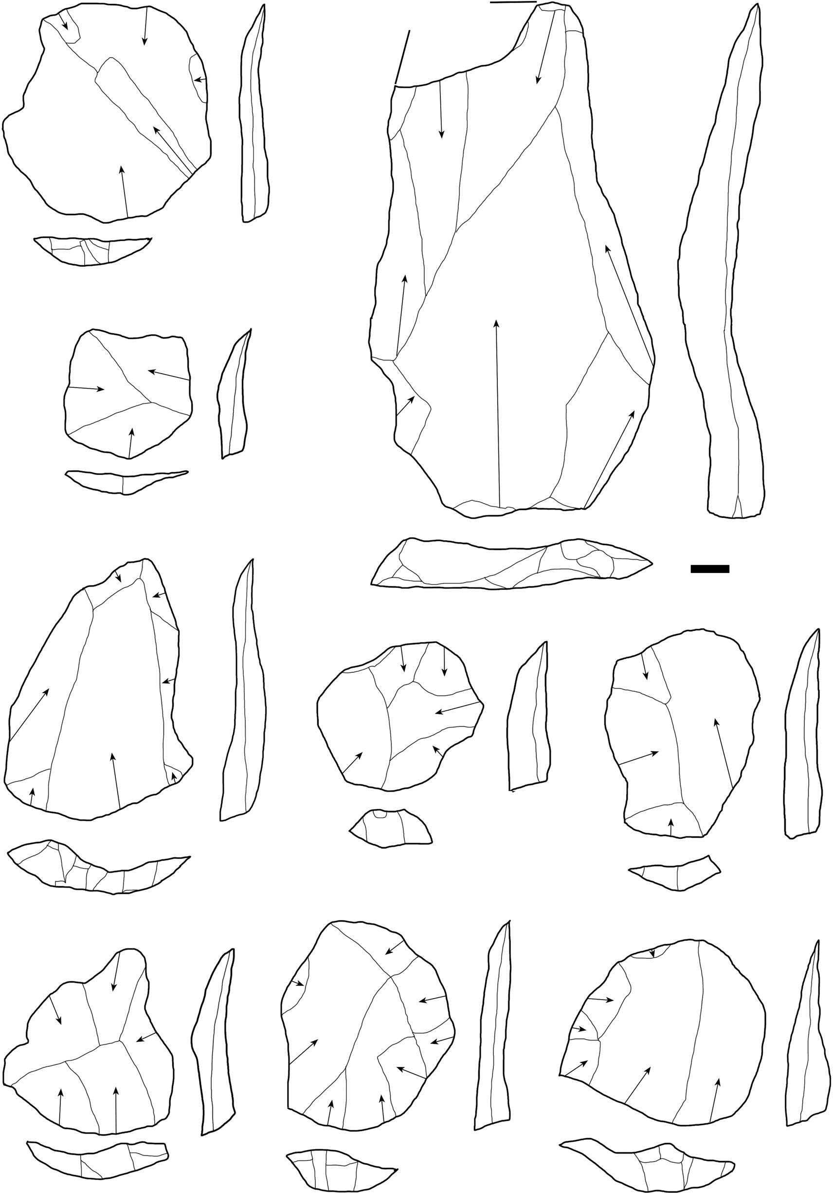 Extended Data Fig. 8: Levallois flakes from assemblage C, KAM 4 (MIS 7).