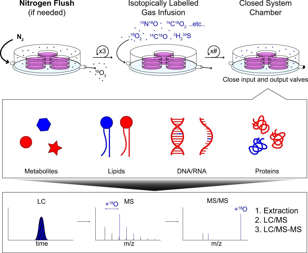 Extended Data Figure 12: Applications of gaseous labelling.