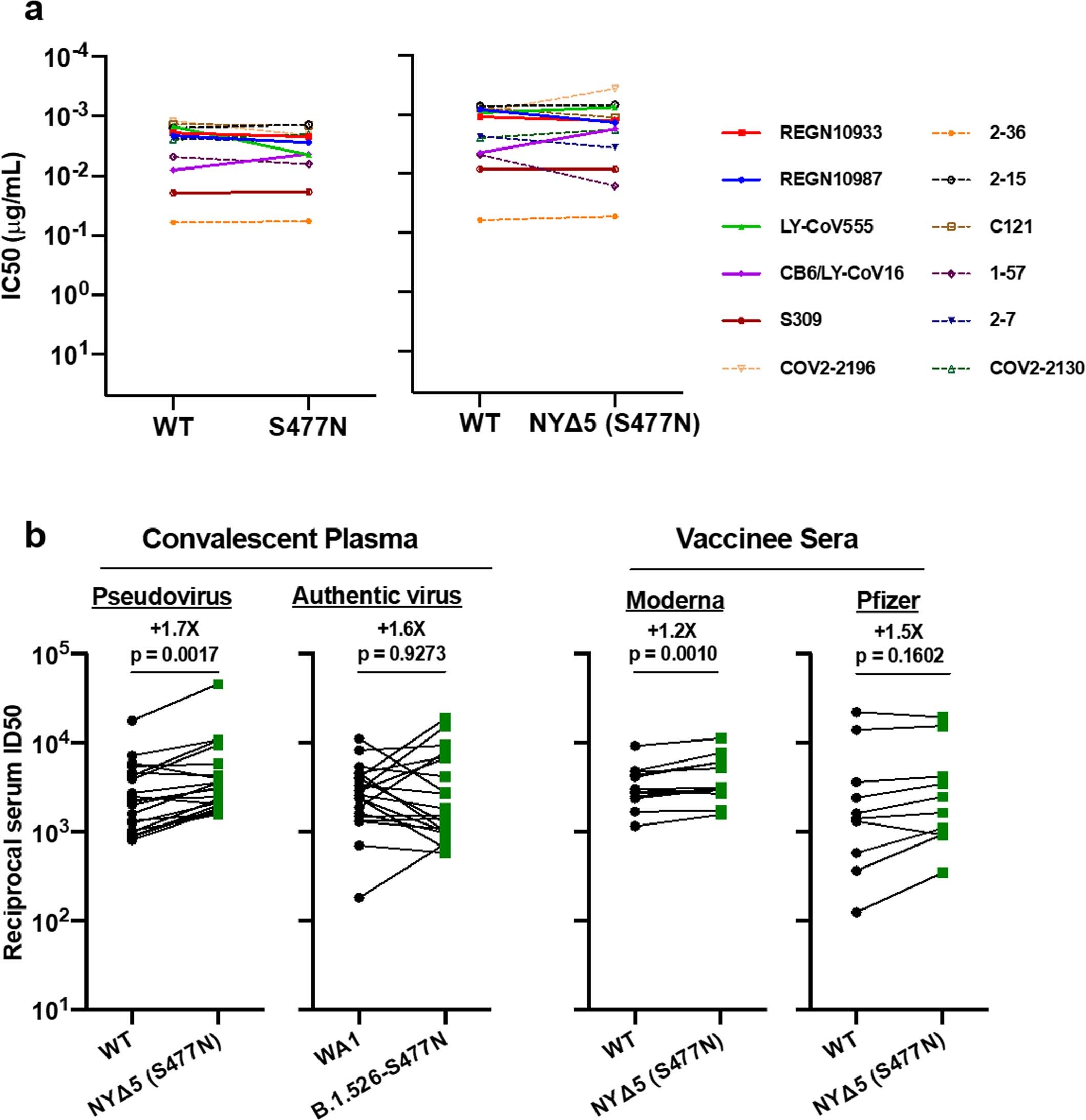 Extended Data Fig. 4: Neutralization studies of B.1.526-S477N.