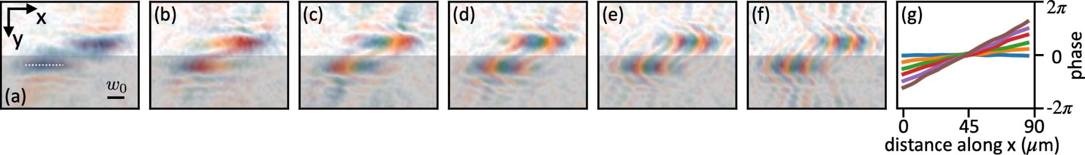 Extended Data Fig. 1: DMD momentum probes.