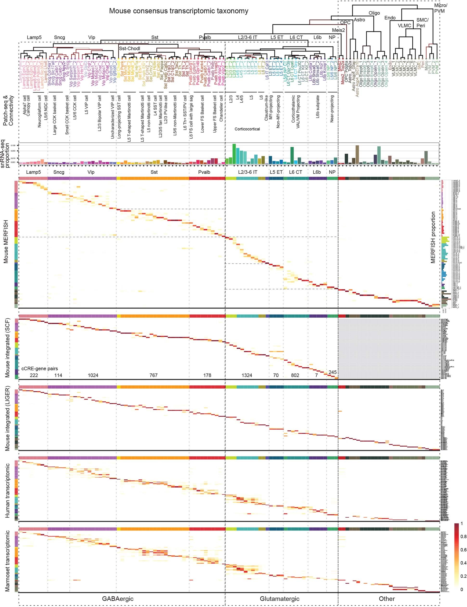 Extended Data Fig. 5