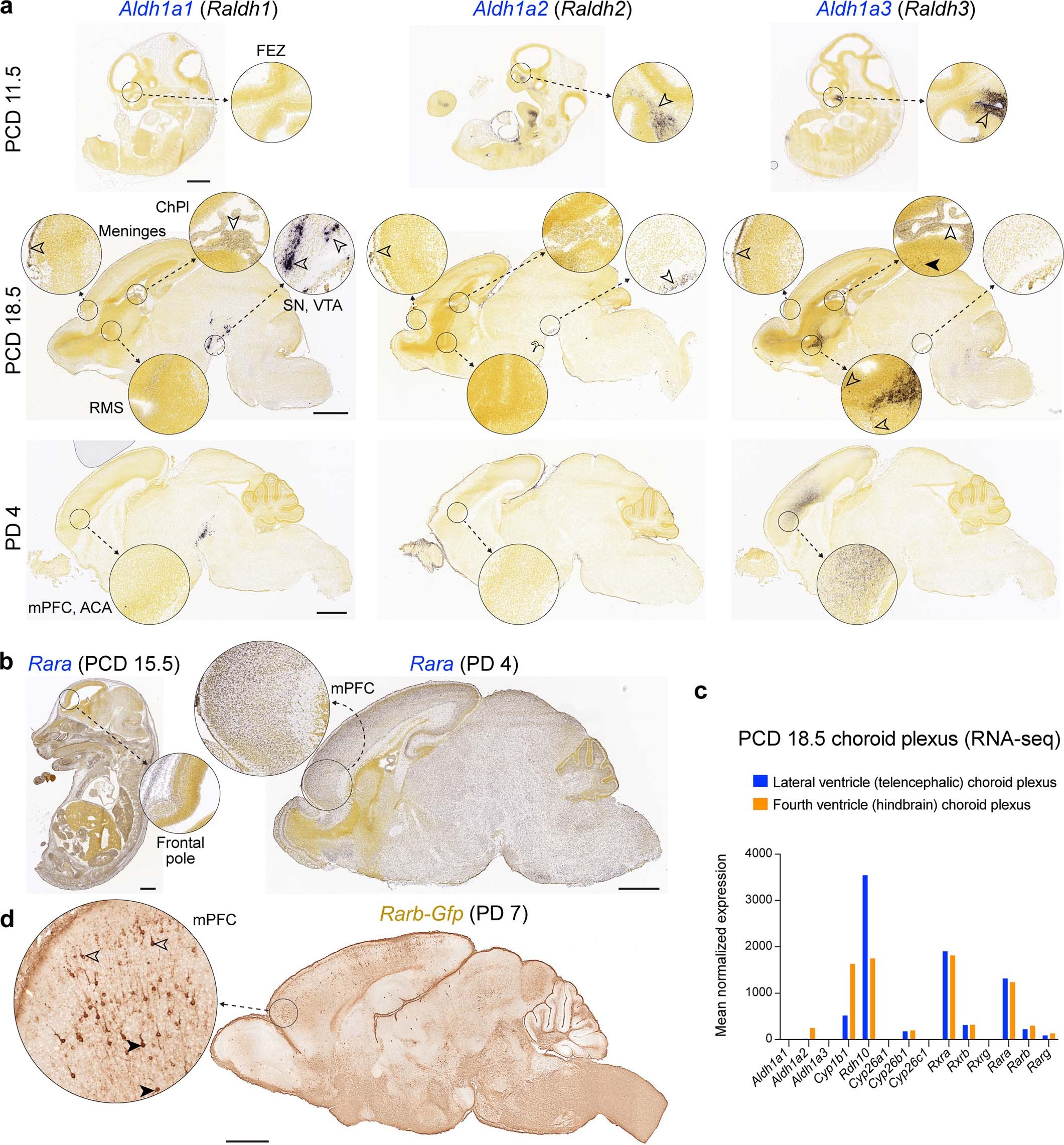 Extended Data Fig. 5