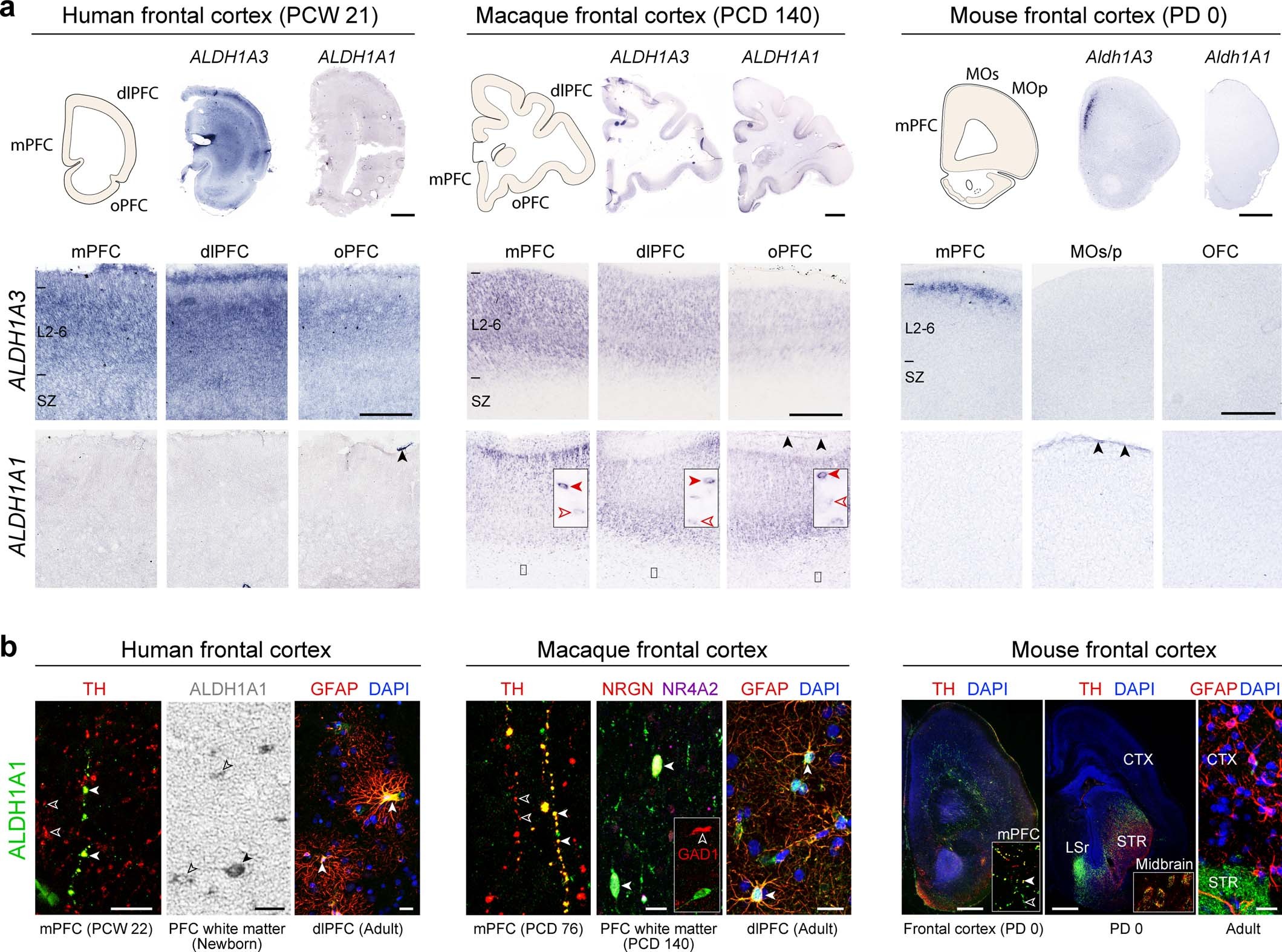 Extended Data Fig. 6