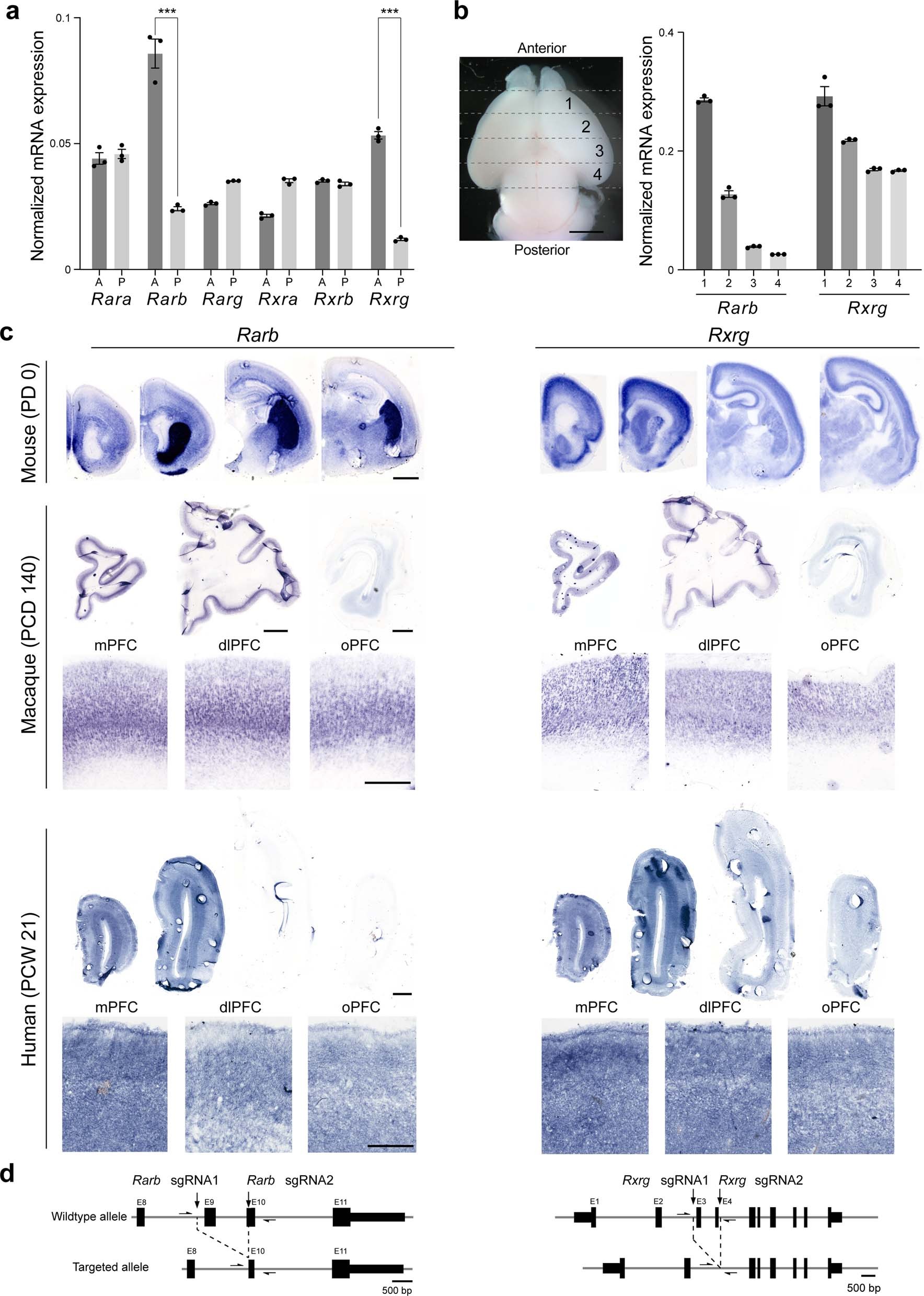 Extended Data Fig. 9