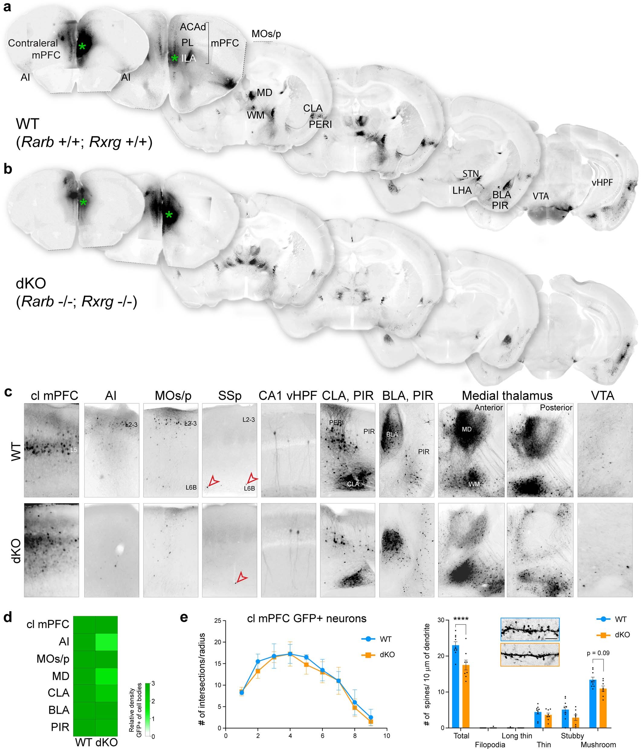 Extended Data Fig. 14