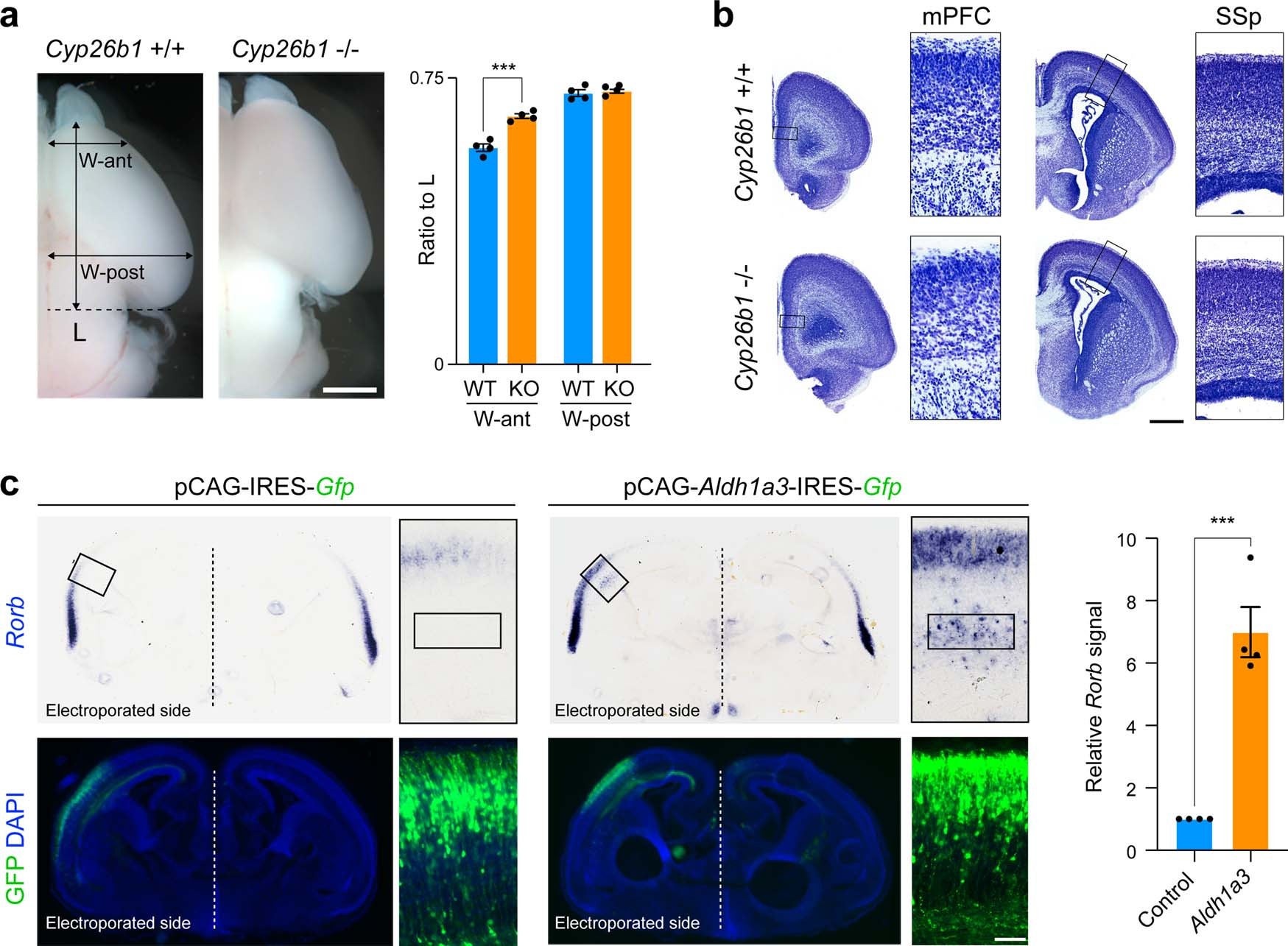 Extended Data Fig. 20
