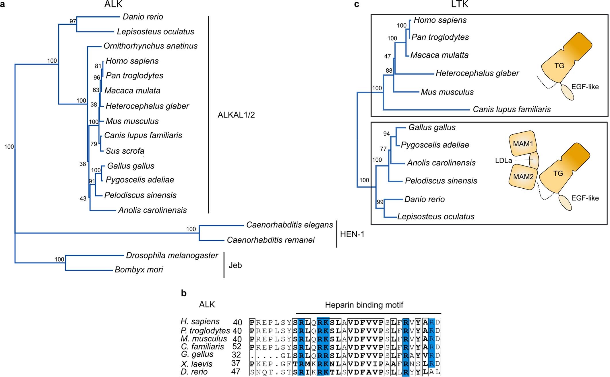 Extended Data Fig. 1